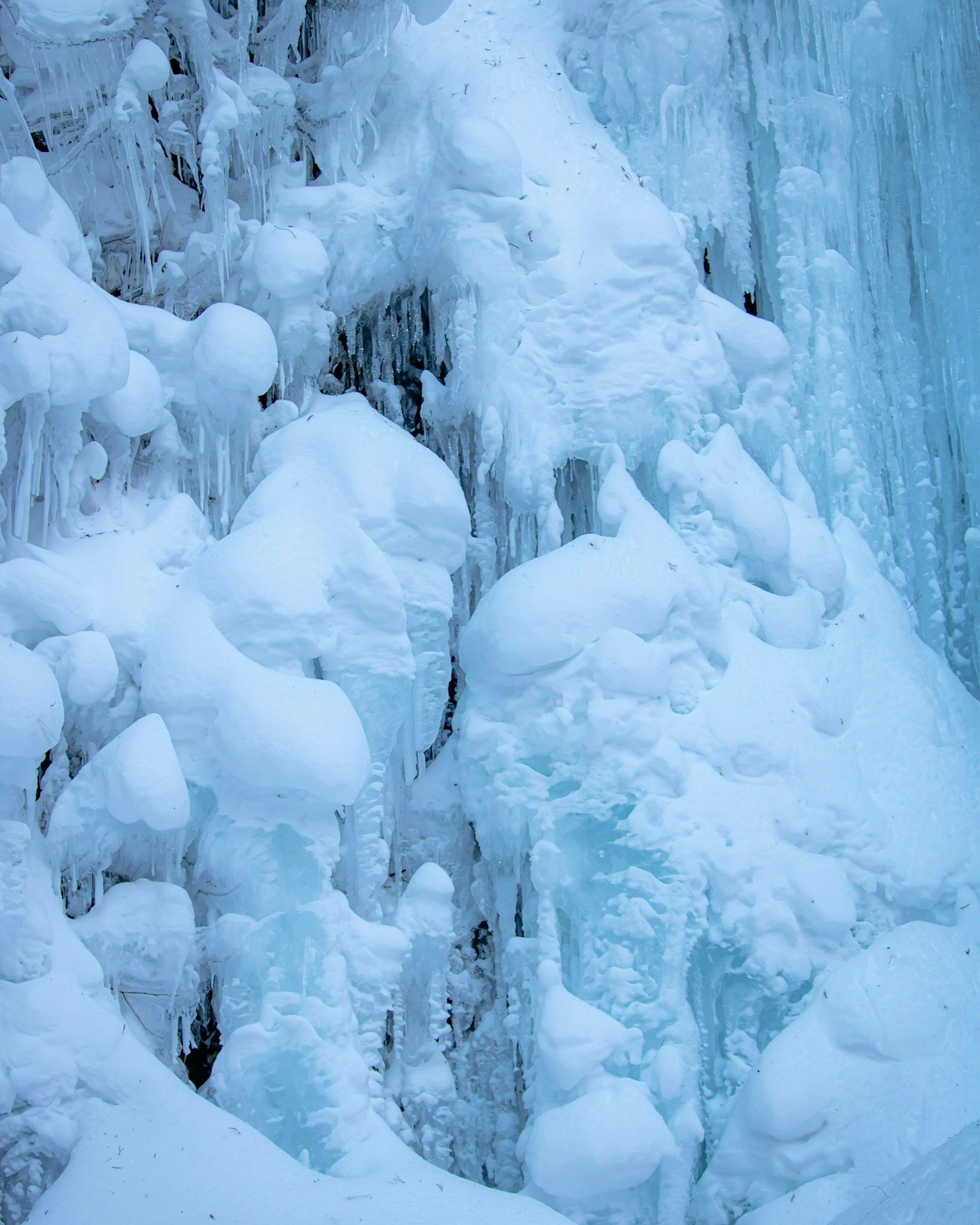 2025-01-january-photography-subjects-image-19