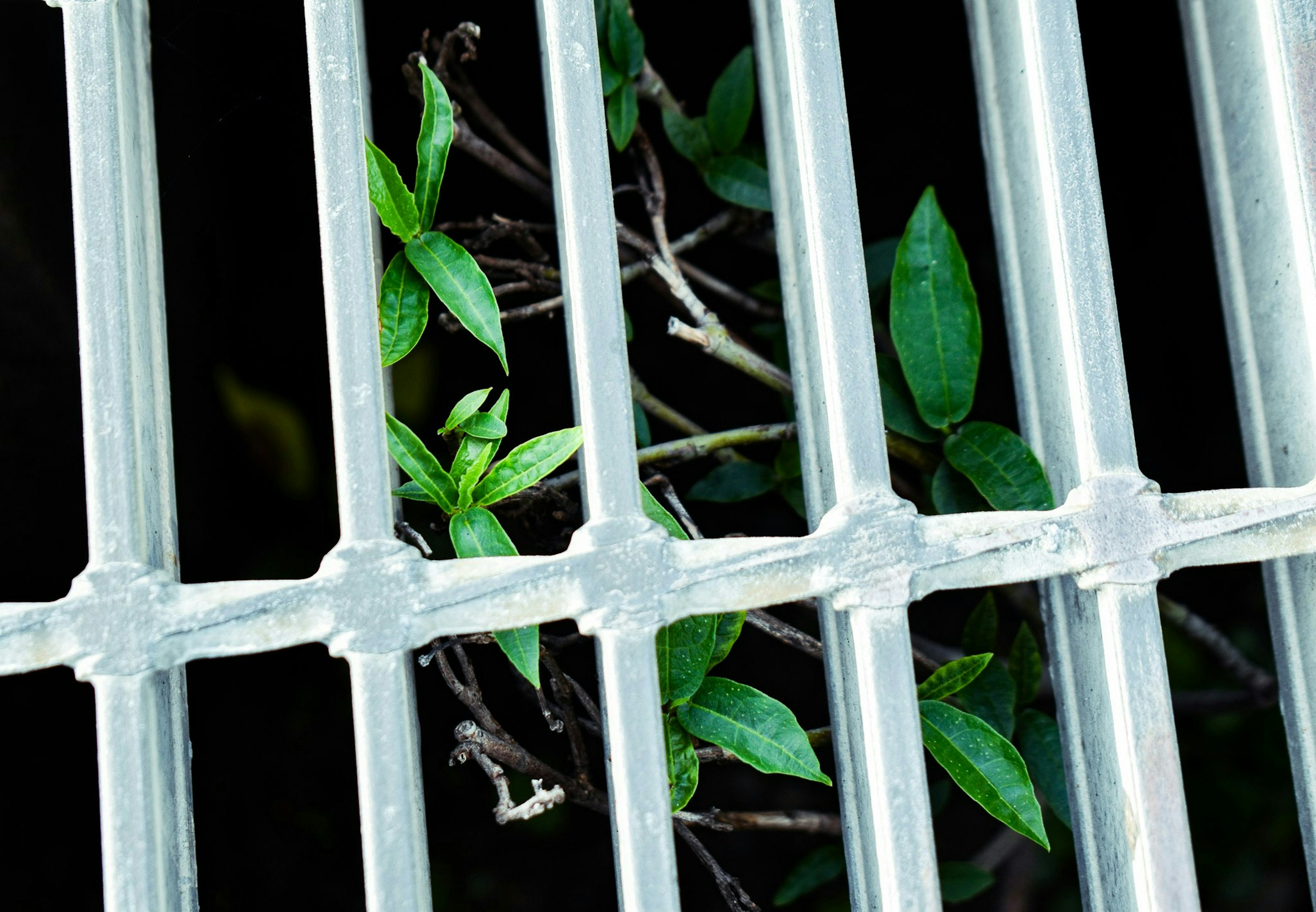 2025-07-snap-image-7
