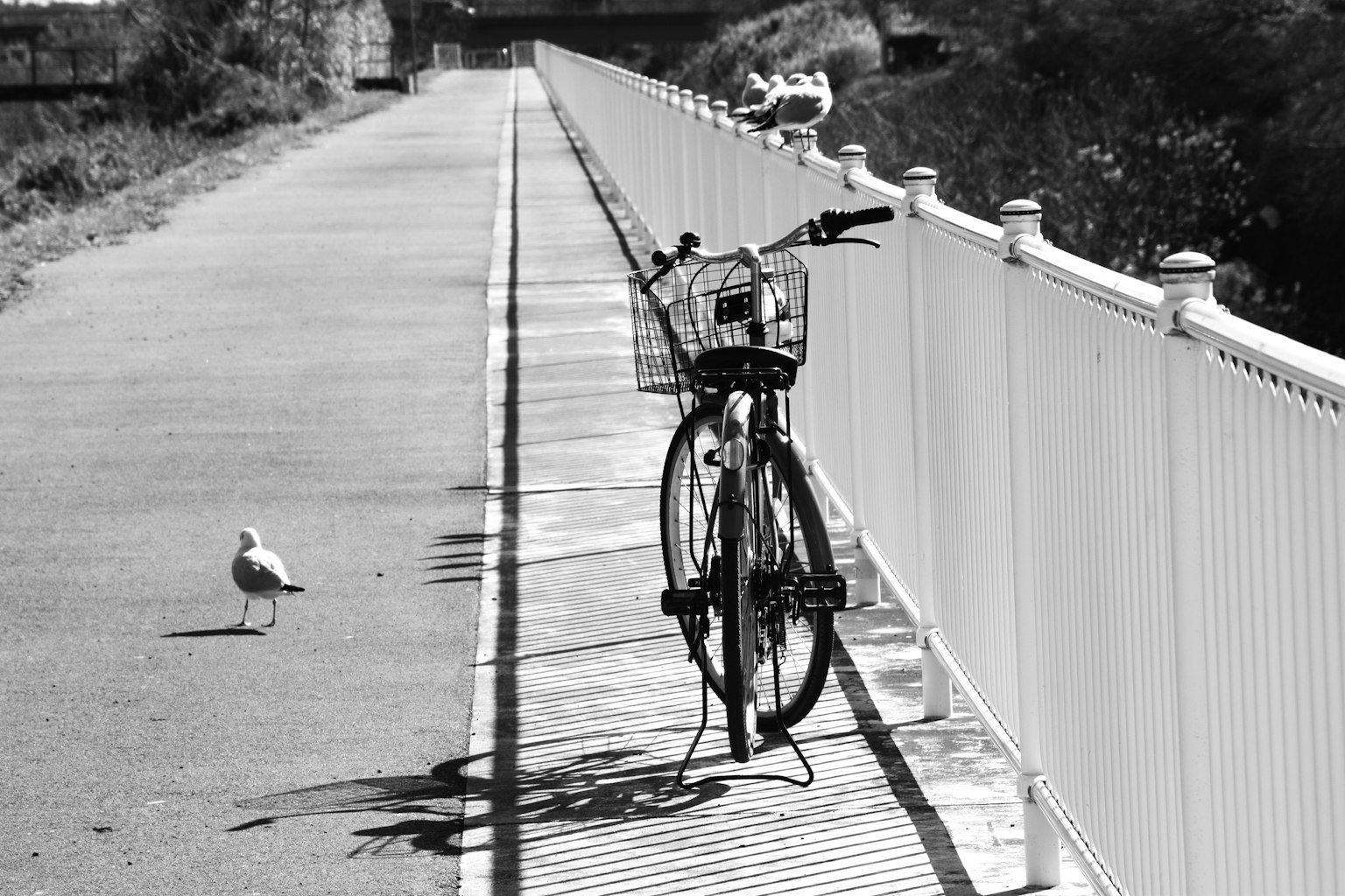 2024-04-how-to-take-fragile-photoes-image-18