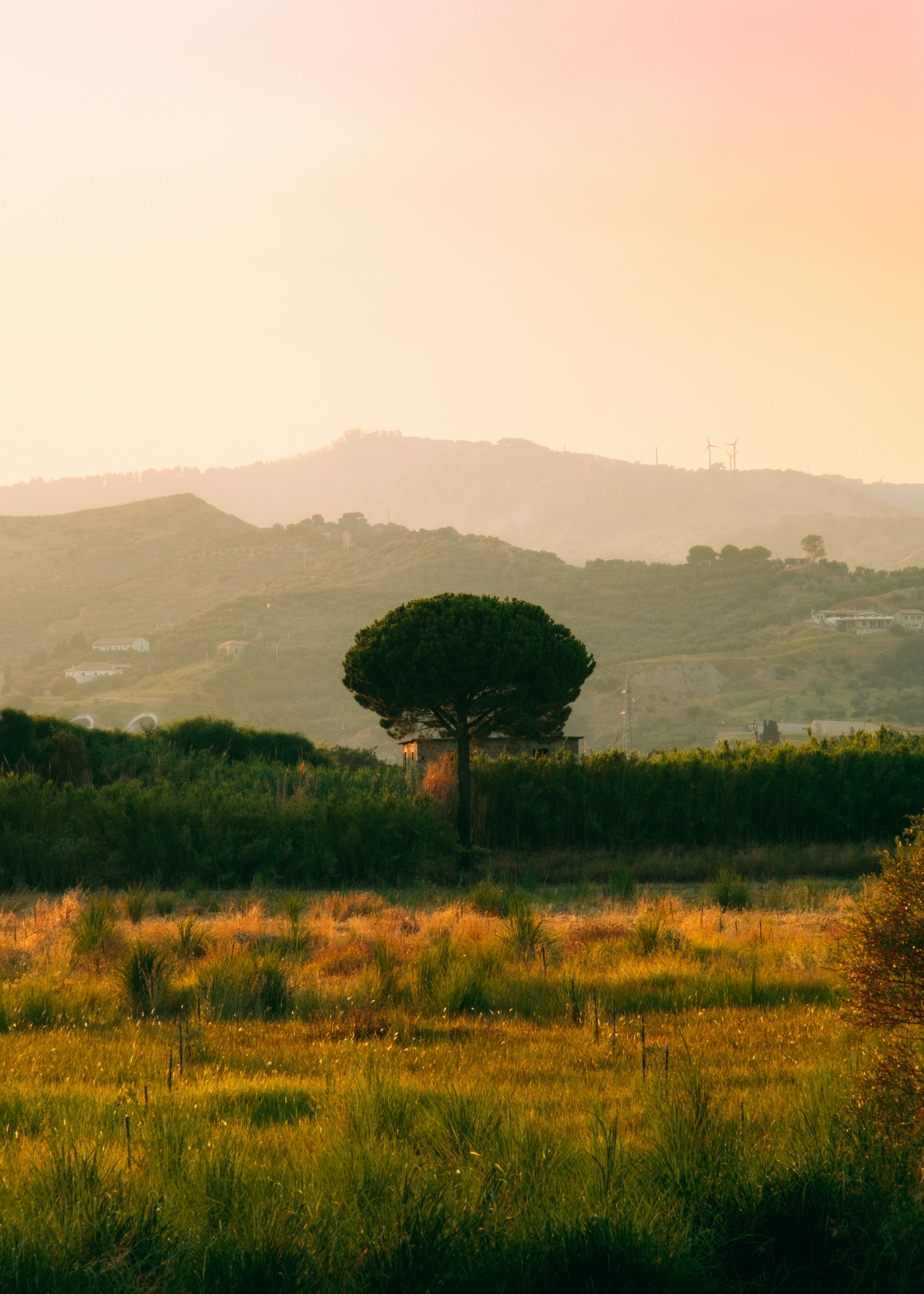 Photo by Gino Cittadini
