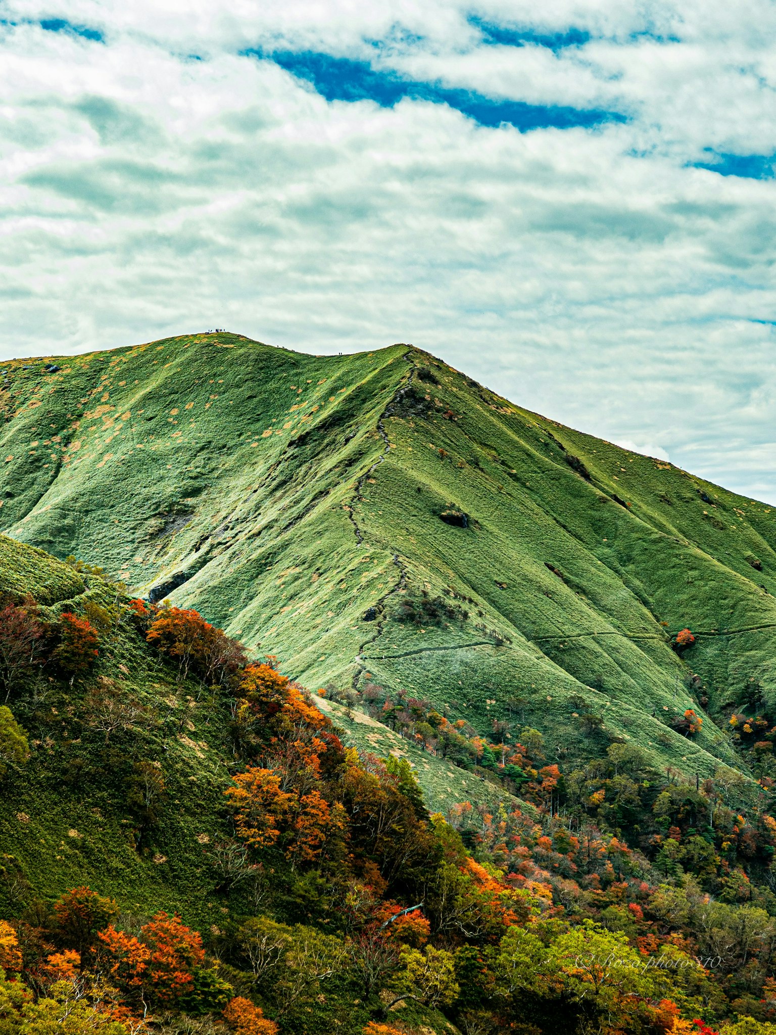 2025-11-trace-of-autumn-award-image-19