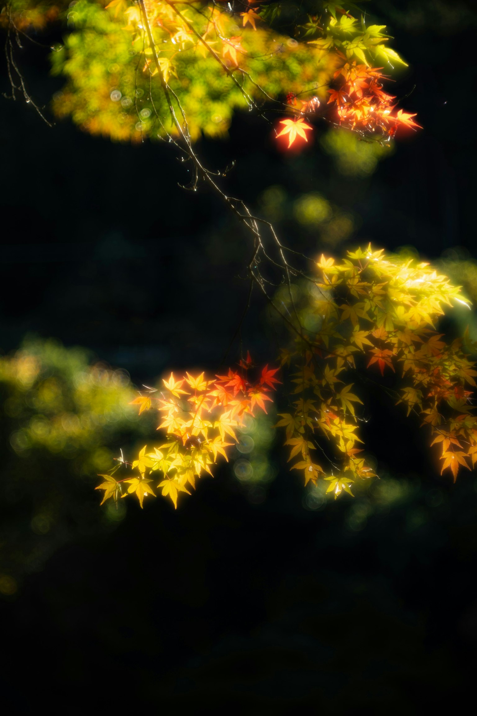 2025-04-masato-leica-m10d-inspiration-image-17