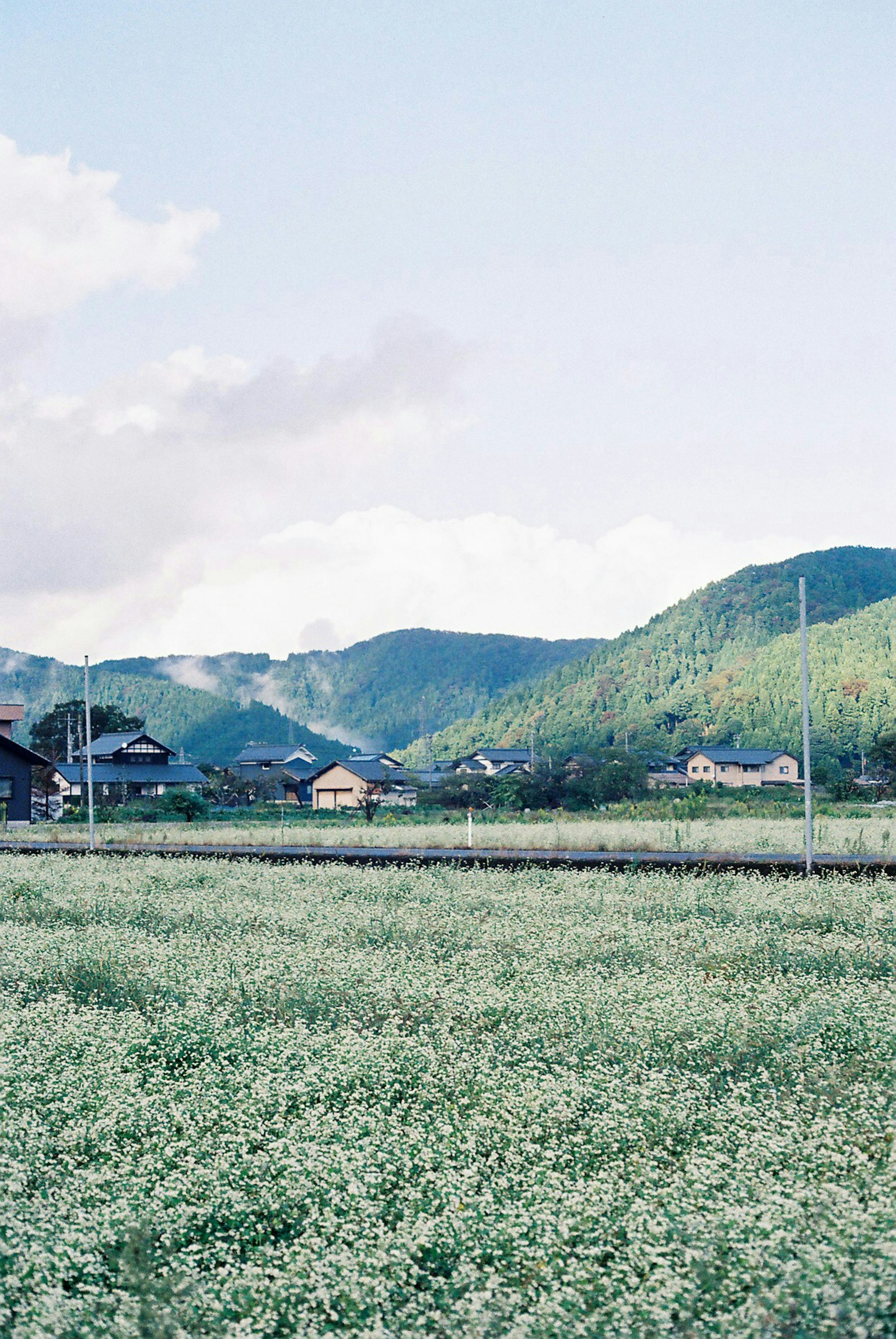 2025-04-pick-up-photos-no-84-88-image-11