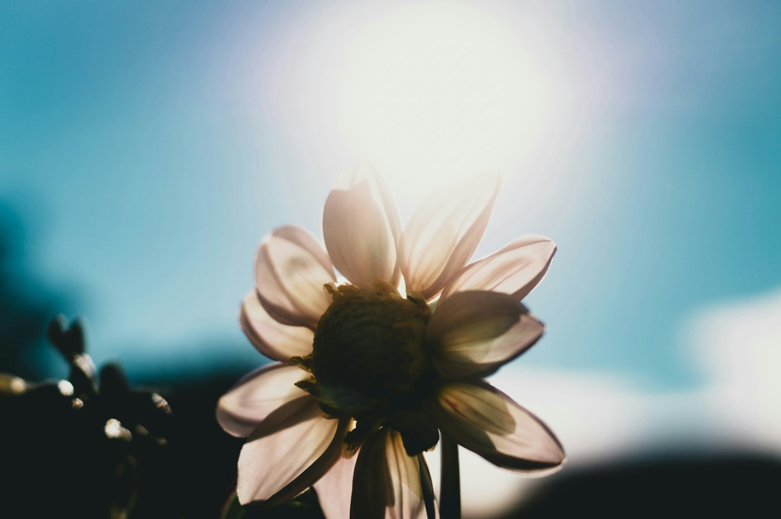 2025-12-backlight-image-6