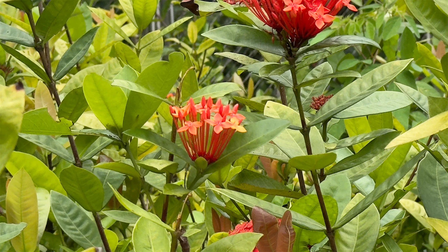 2024-06-switchlens-image-10