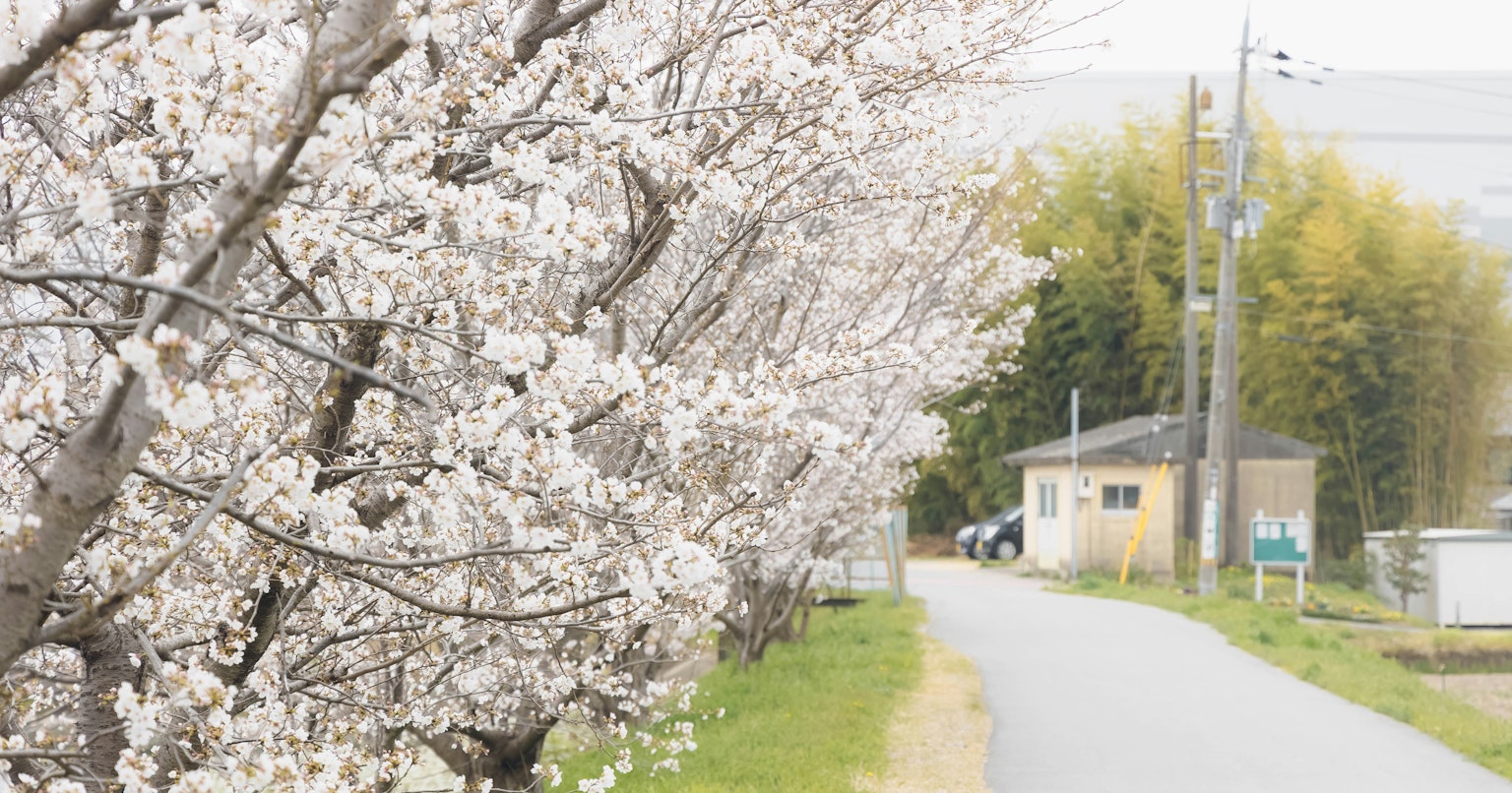 2025-04-local-report-cover-image