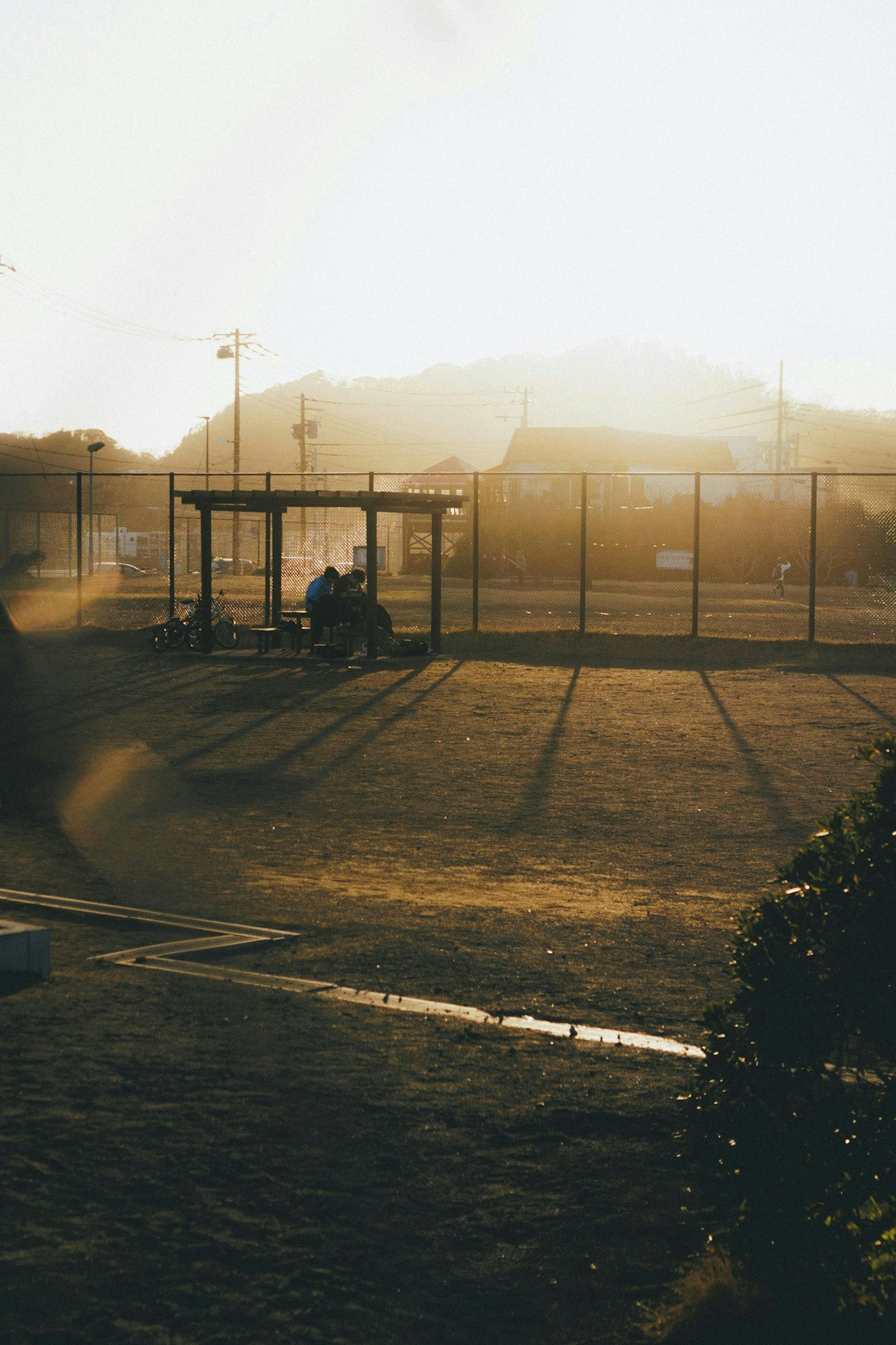 2025-08-seishun-photograph-by-little-green-monster-image-12