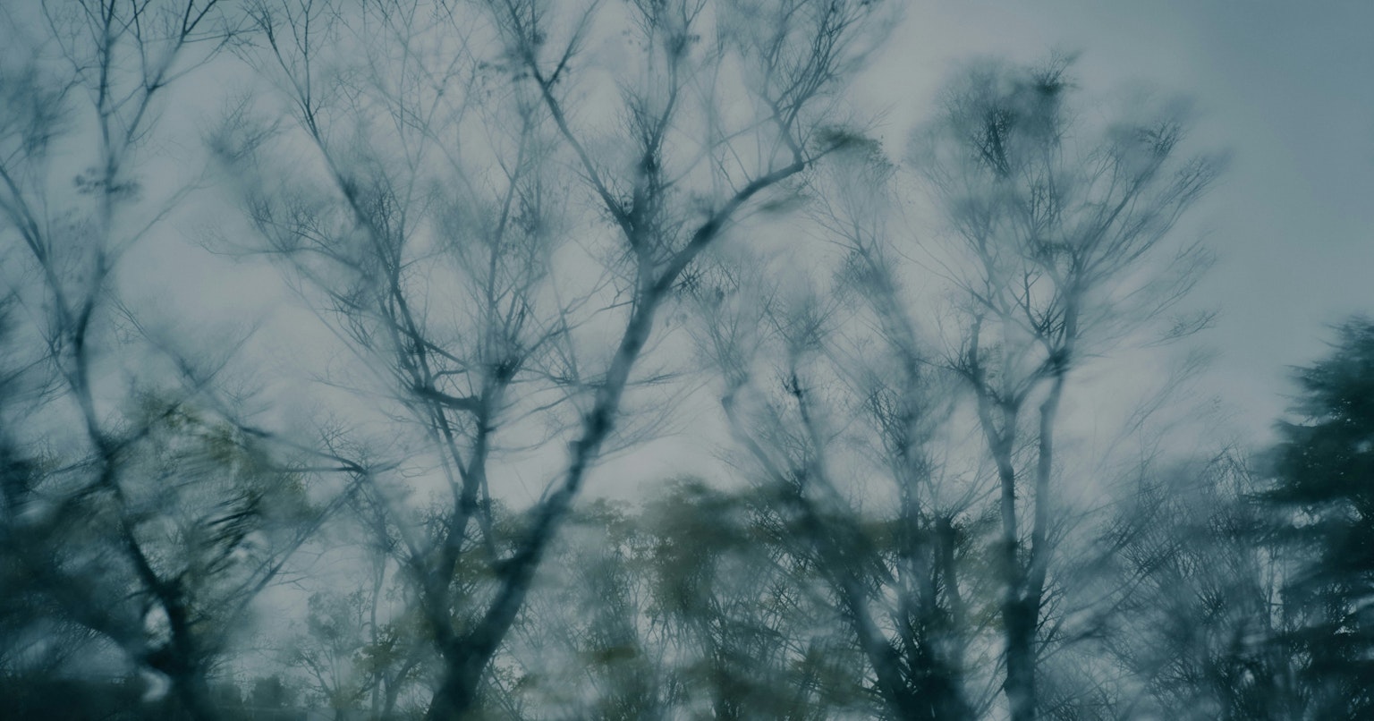 2025-04-photo-contest-pr-1-cover-image