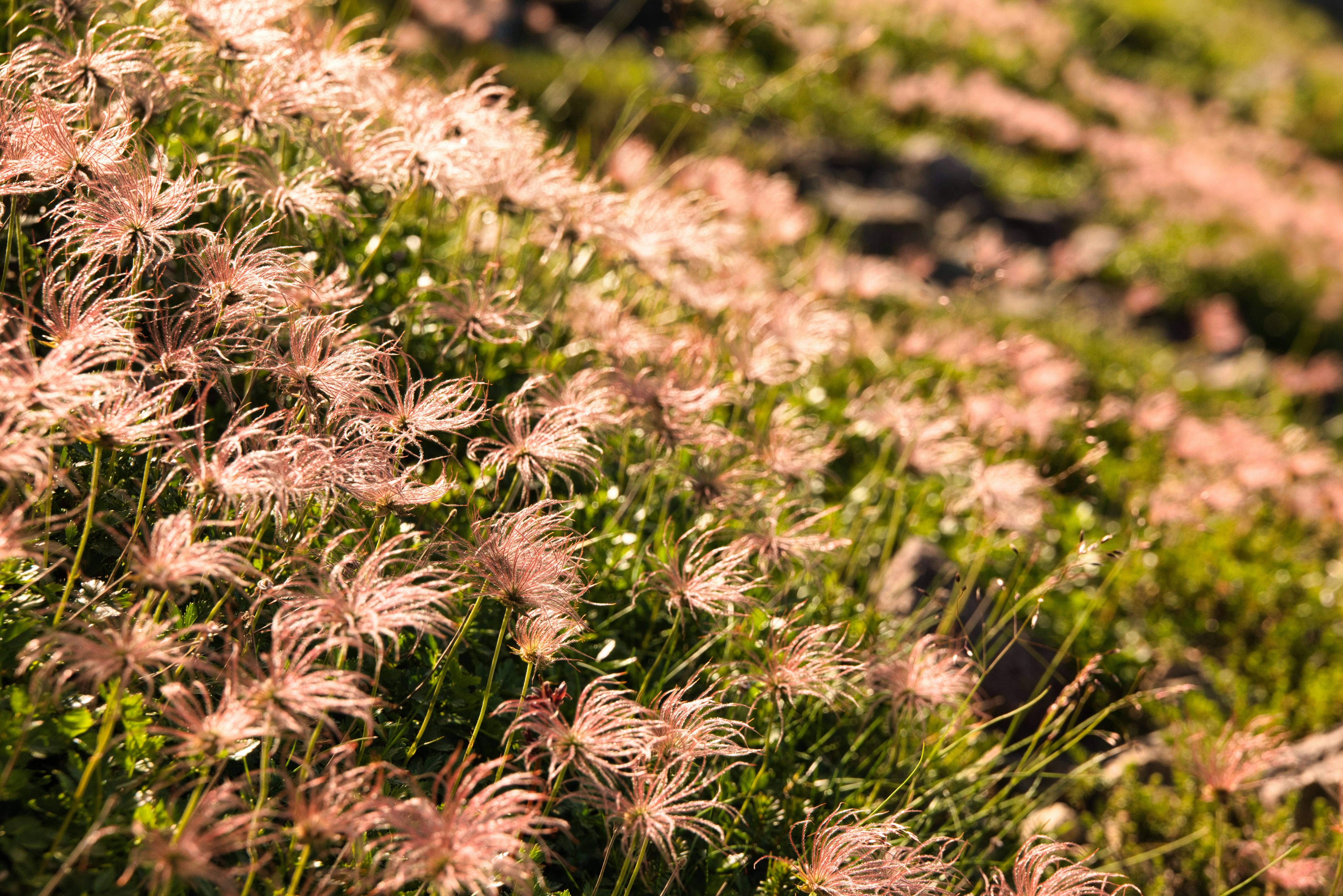 2025-09-pick-up-photos-no-199-203-cover-image