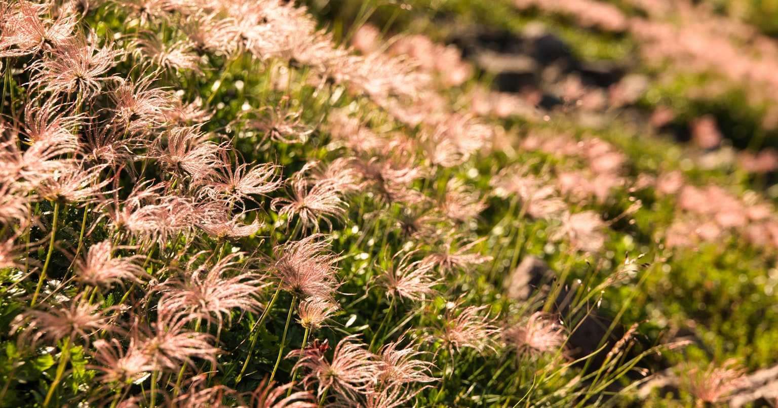 2025-09-pick-up-photos-no-199-203-cover-image