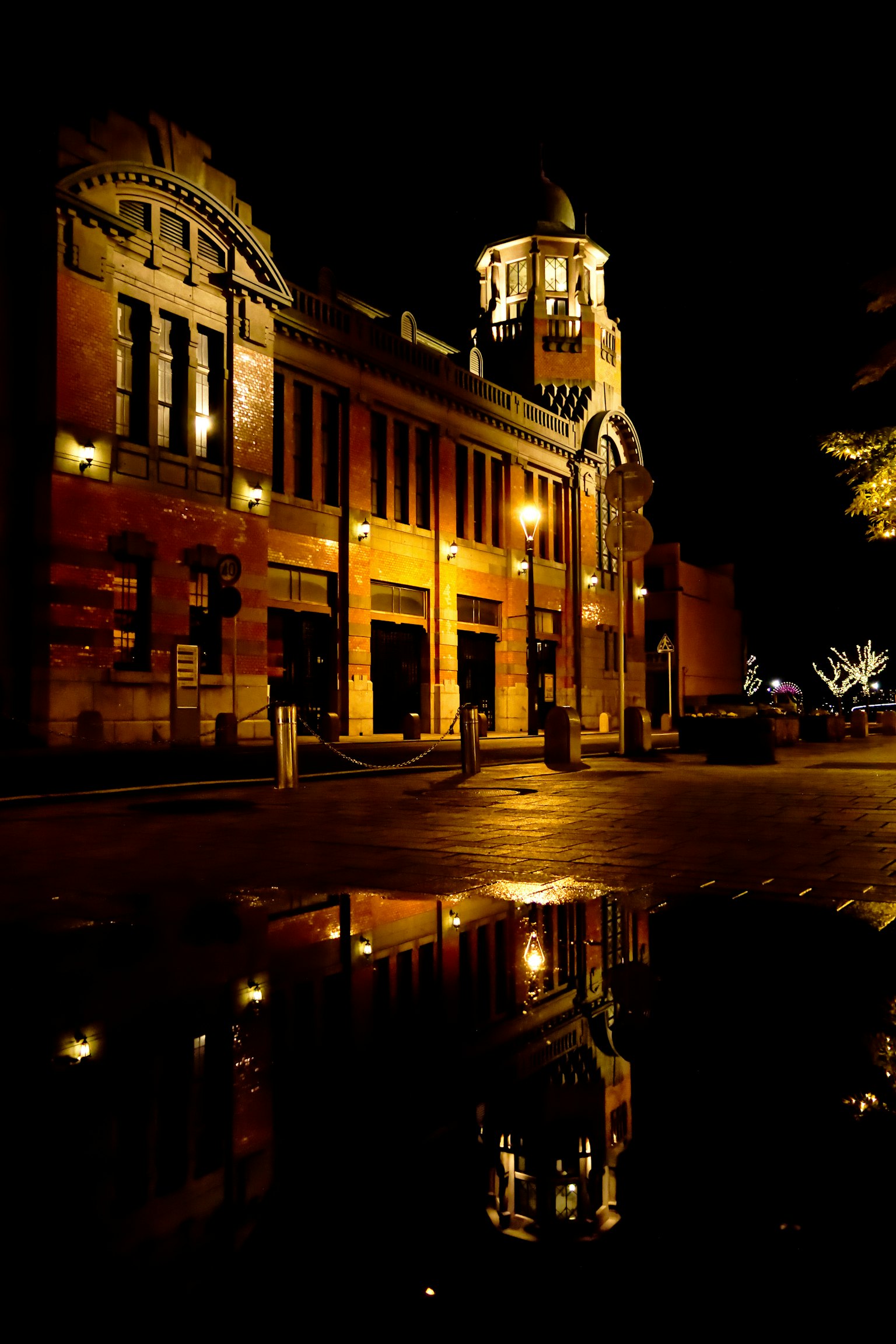 2024-03-walikng-in-the-night-snap-image-21