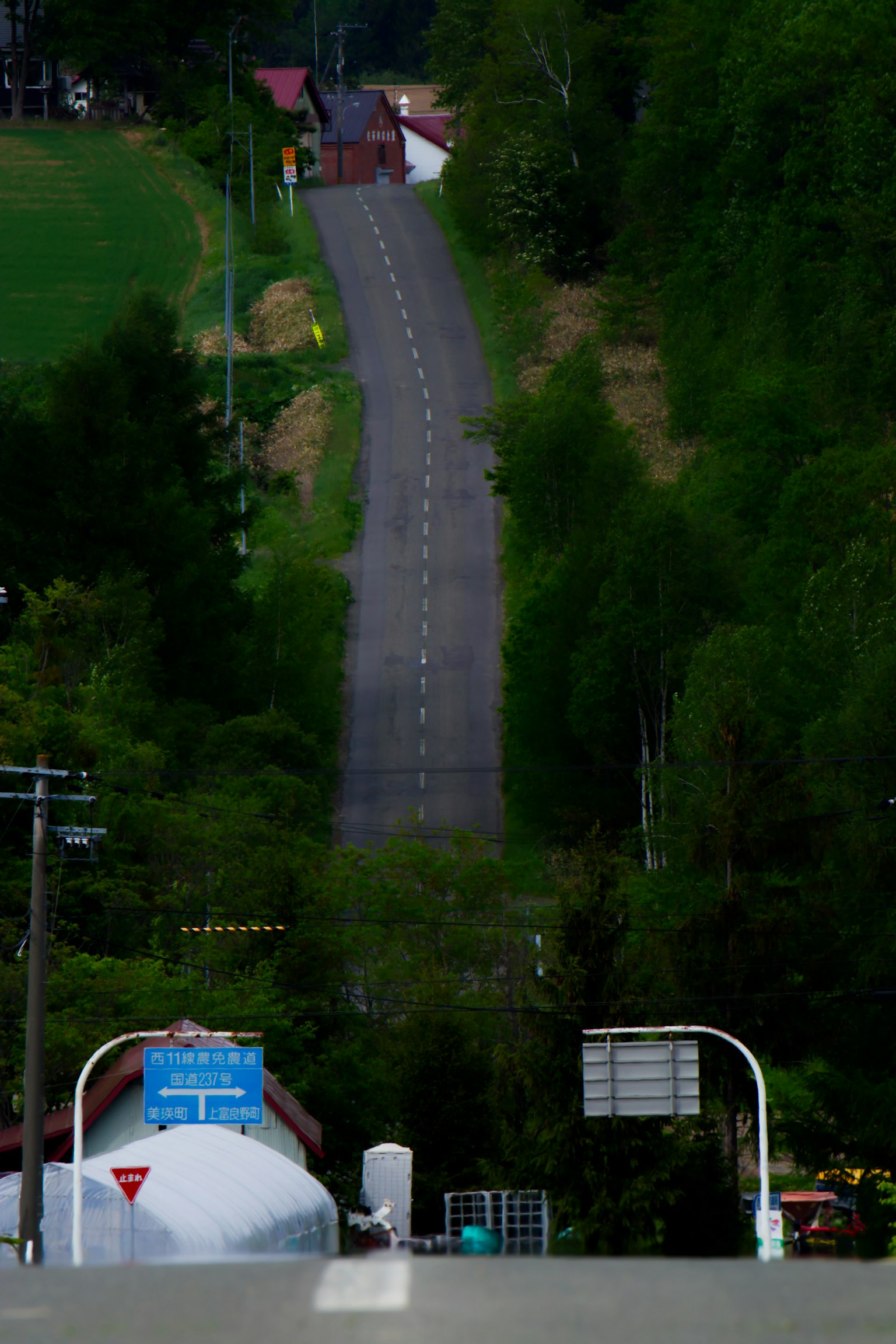 2024-06-letters-from-japan-image-6