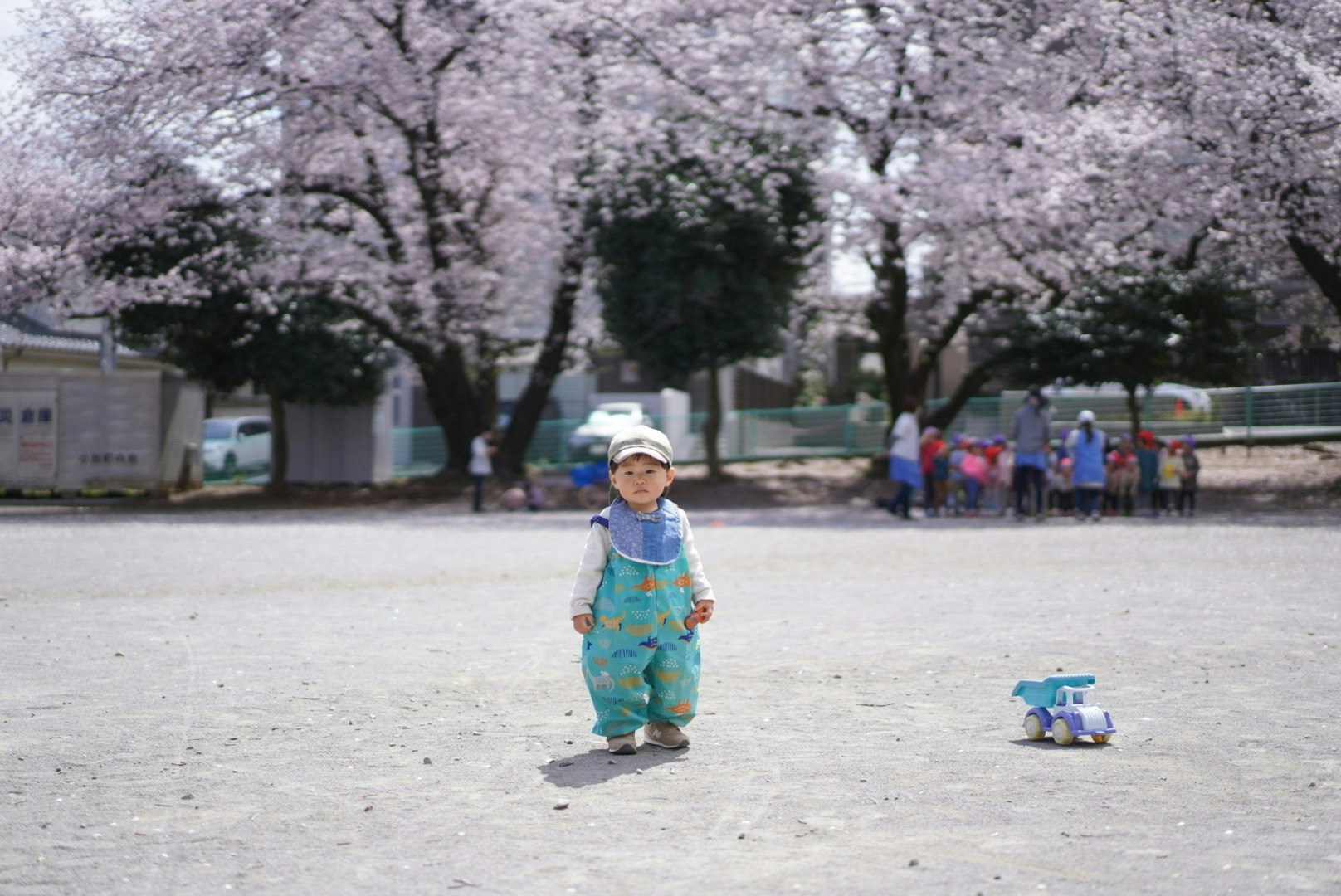 2024-12-fujikko-expresses-what-to-capture-image-8