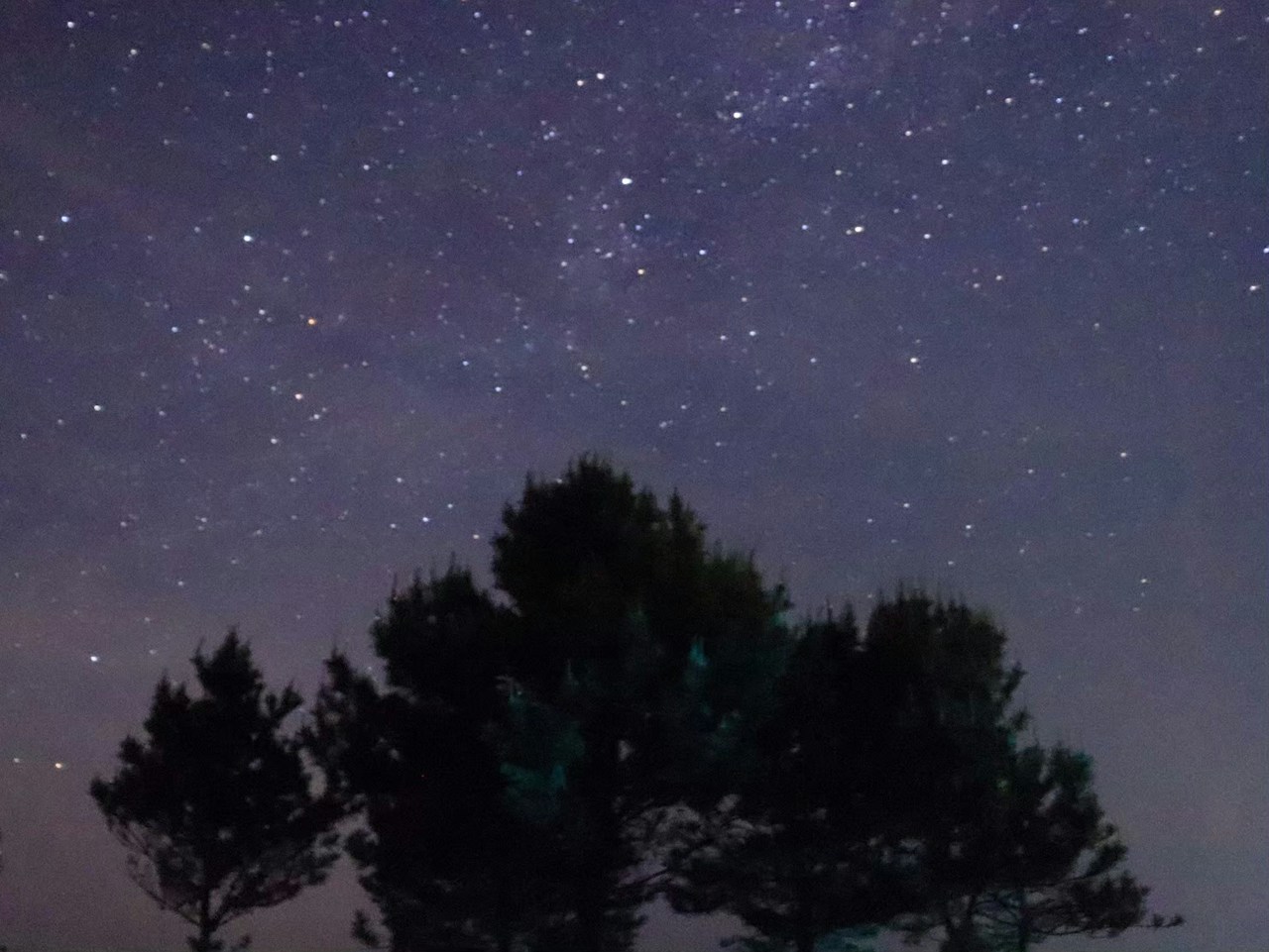 Cielo notturno fotografato con ISO 12800: le stelle sono visibili, ma la grana dell’immagine risulta evidente.