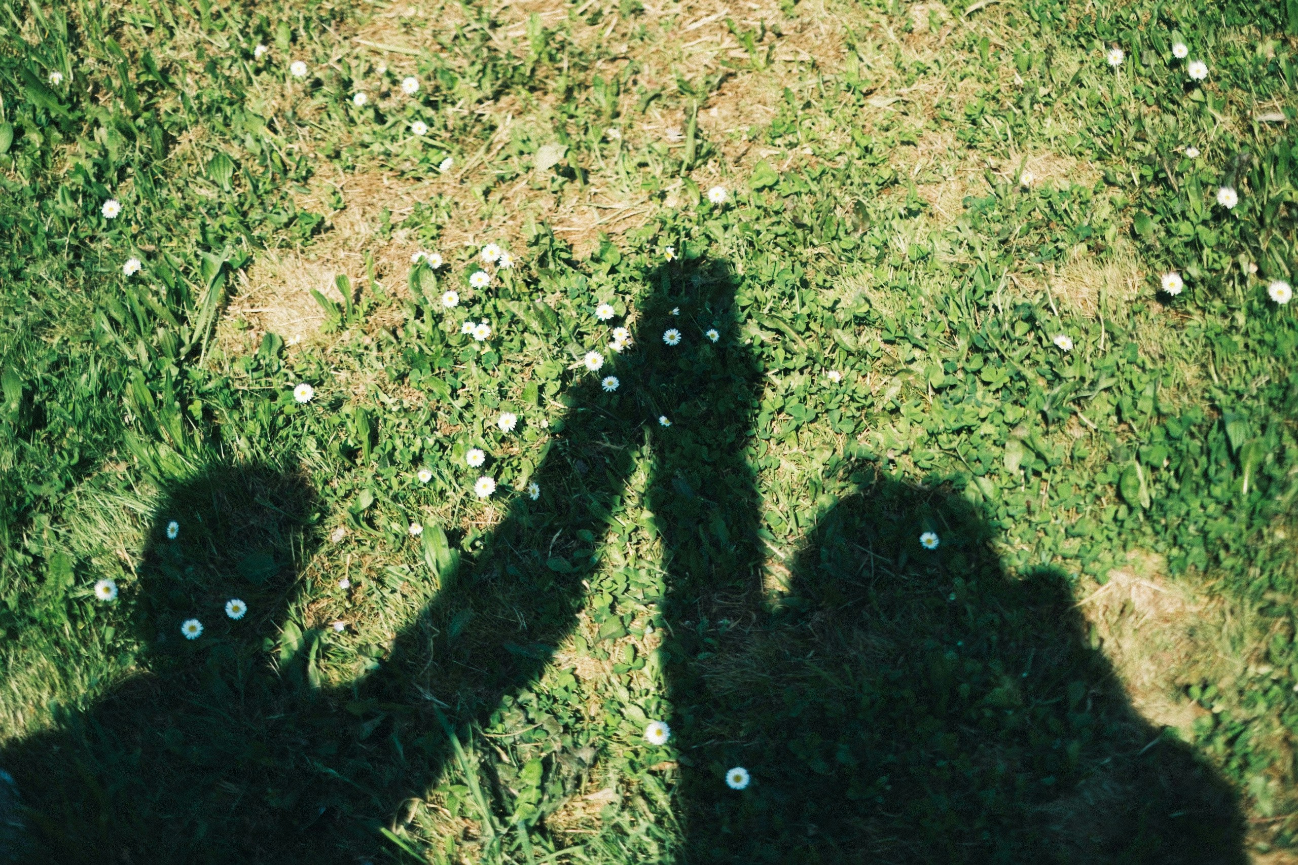 2026-02-find-new-pieces-love-image-27