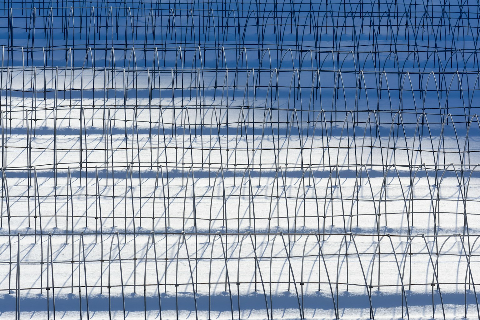 2024-09-modern-minimalism-photography-image-11