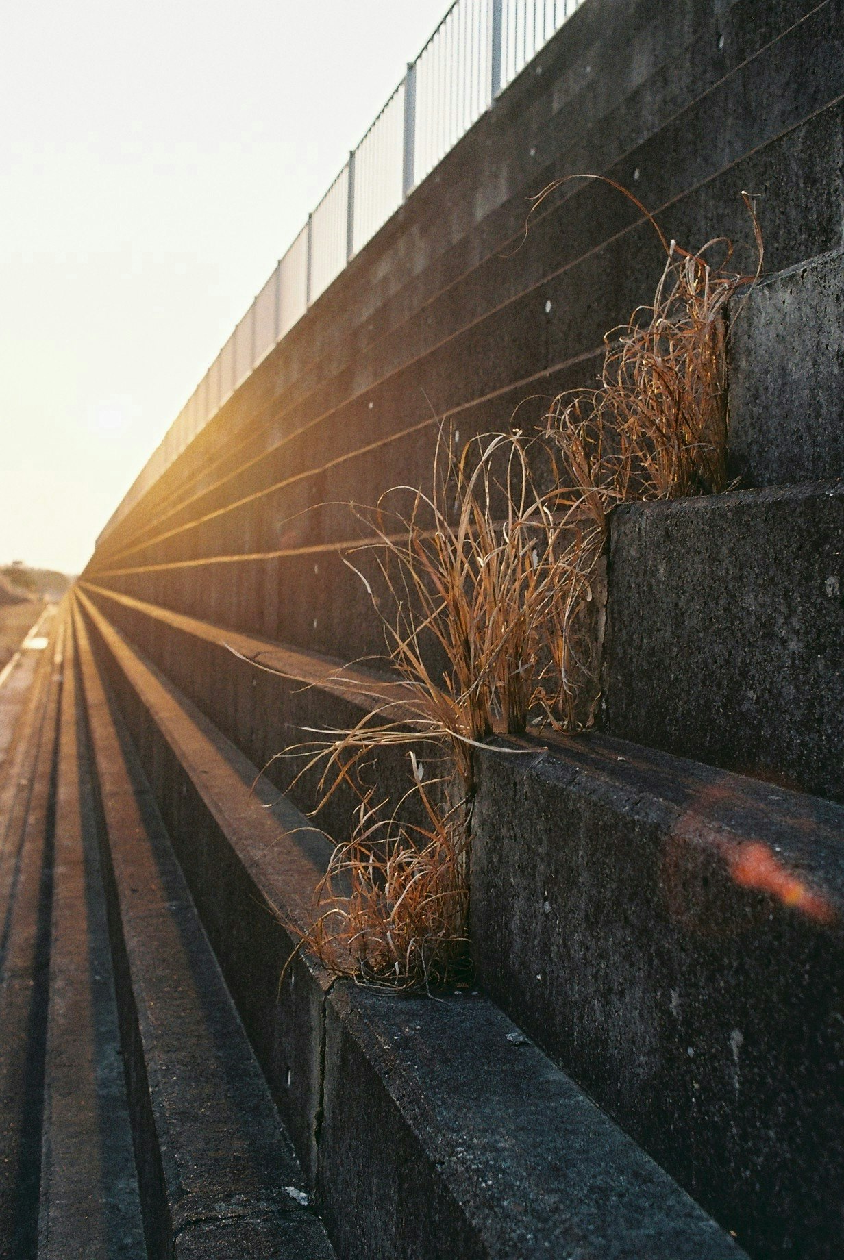 2024-05-viewpoint-report-image-9