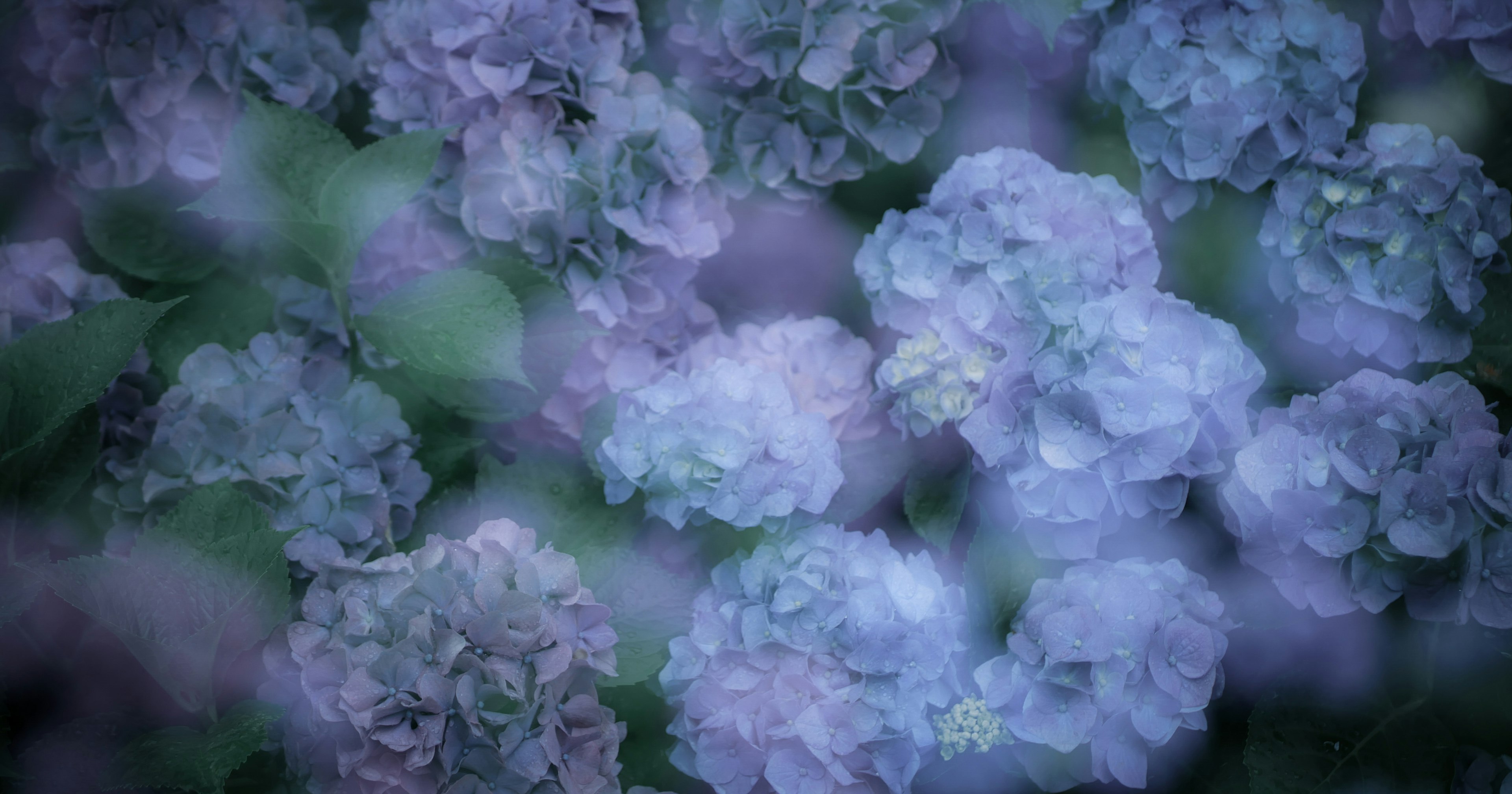 2024-10-multiple-exposure-photography-cover-image