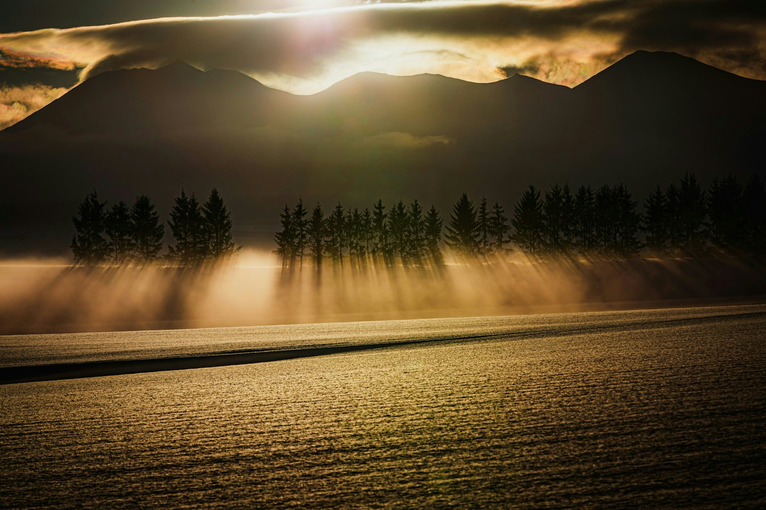2025-04-from-morning-to-morning-image-4