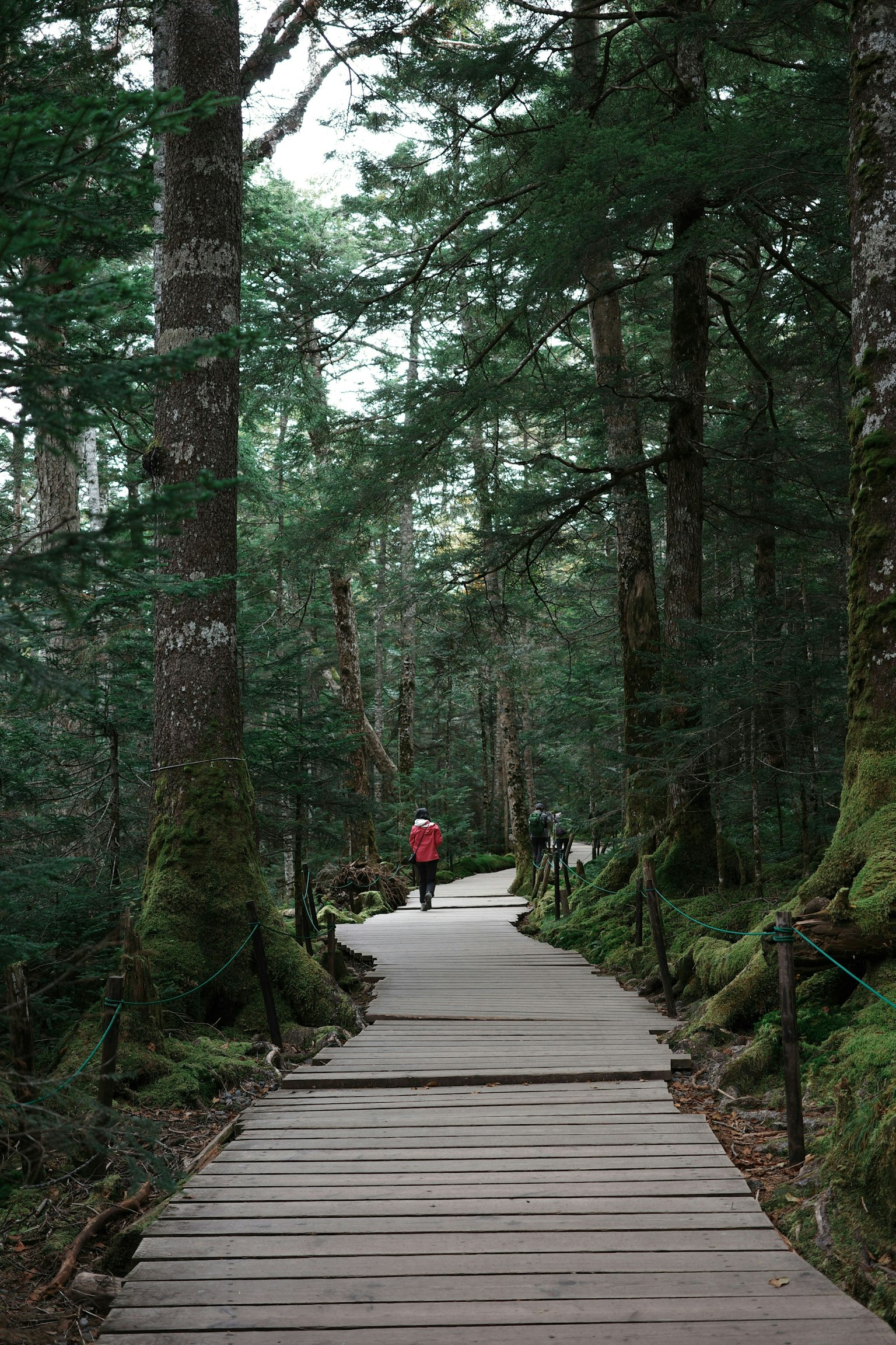 2024-12-28mm-vs-35mm-lens-guide-image-4