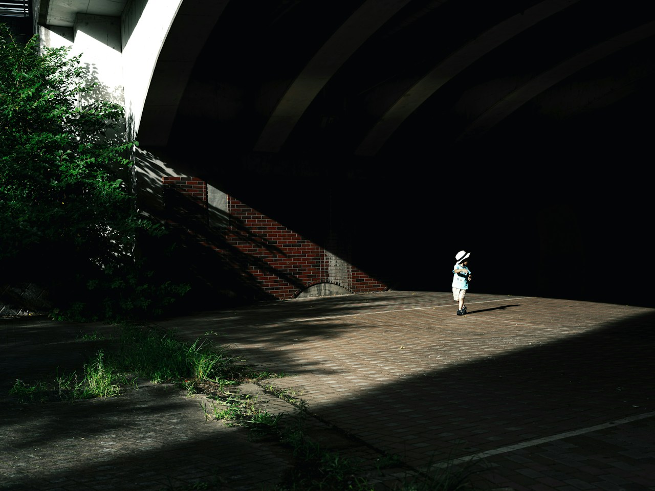 Photo by むめい