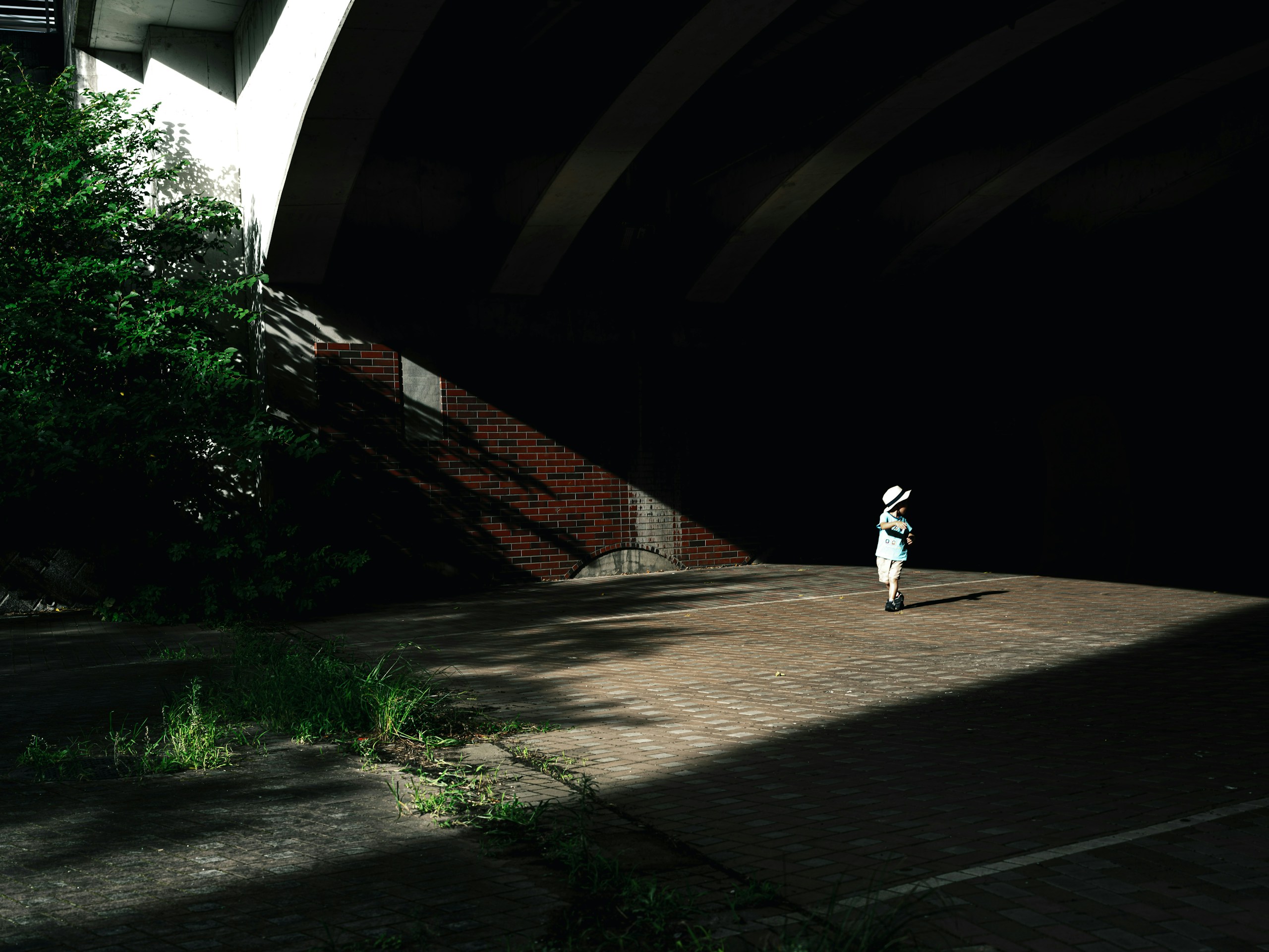 2026-03-hasselblad-907x-mumei-image-10
