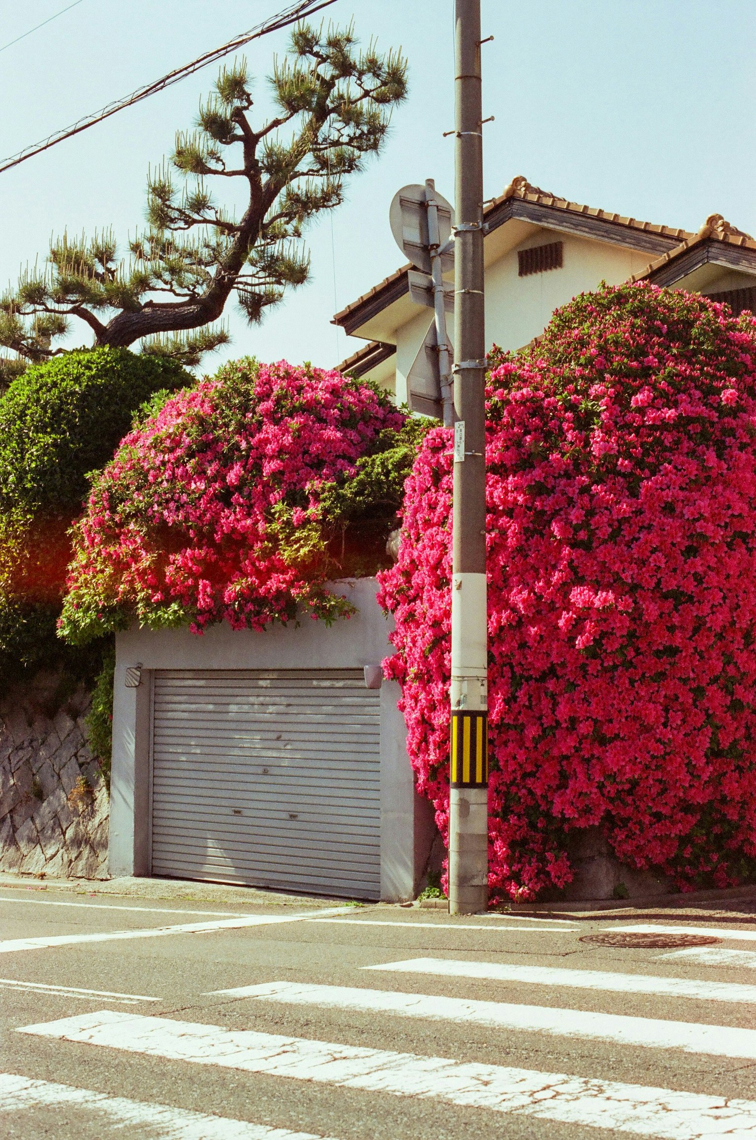 2025-11-shape-of-abundance-award-image-11