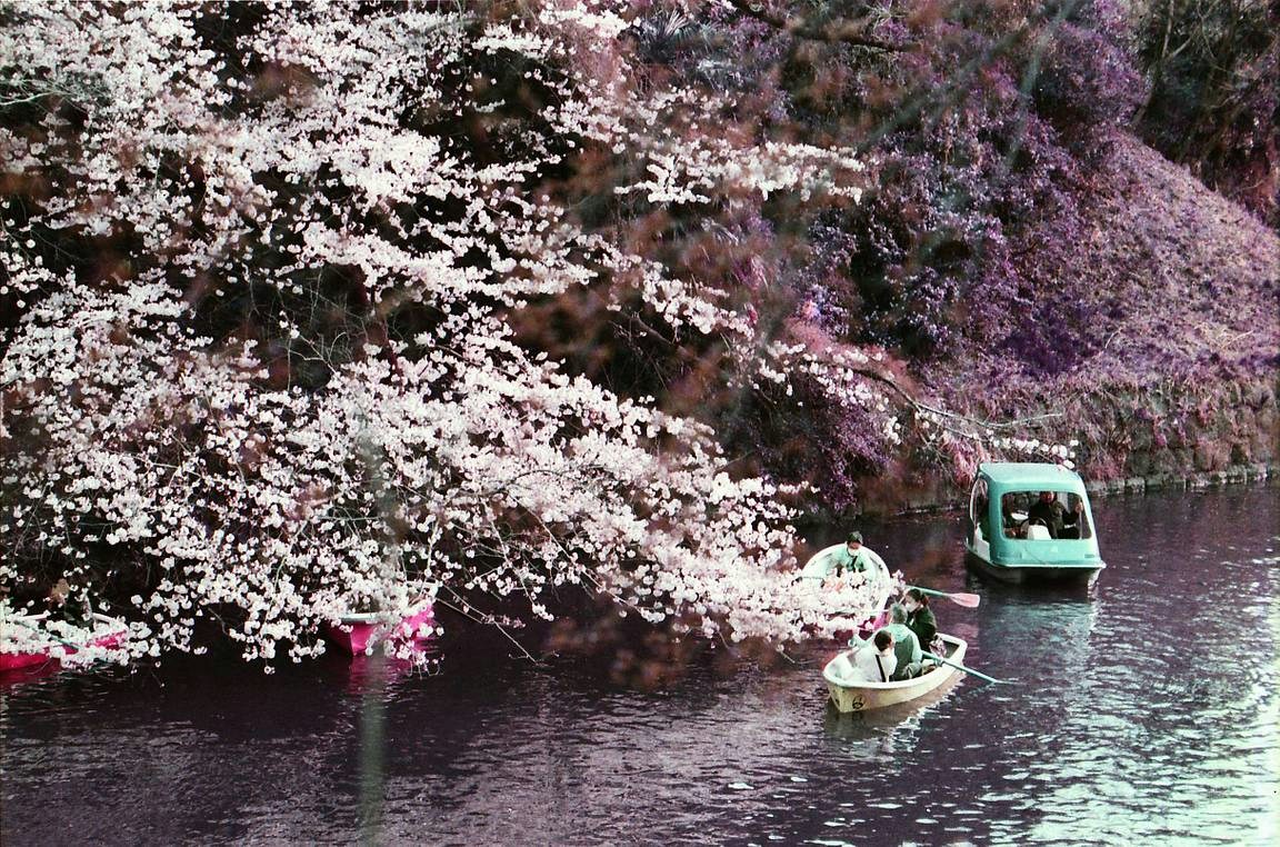©︎ Lomography