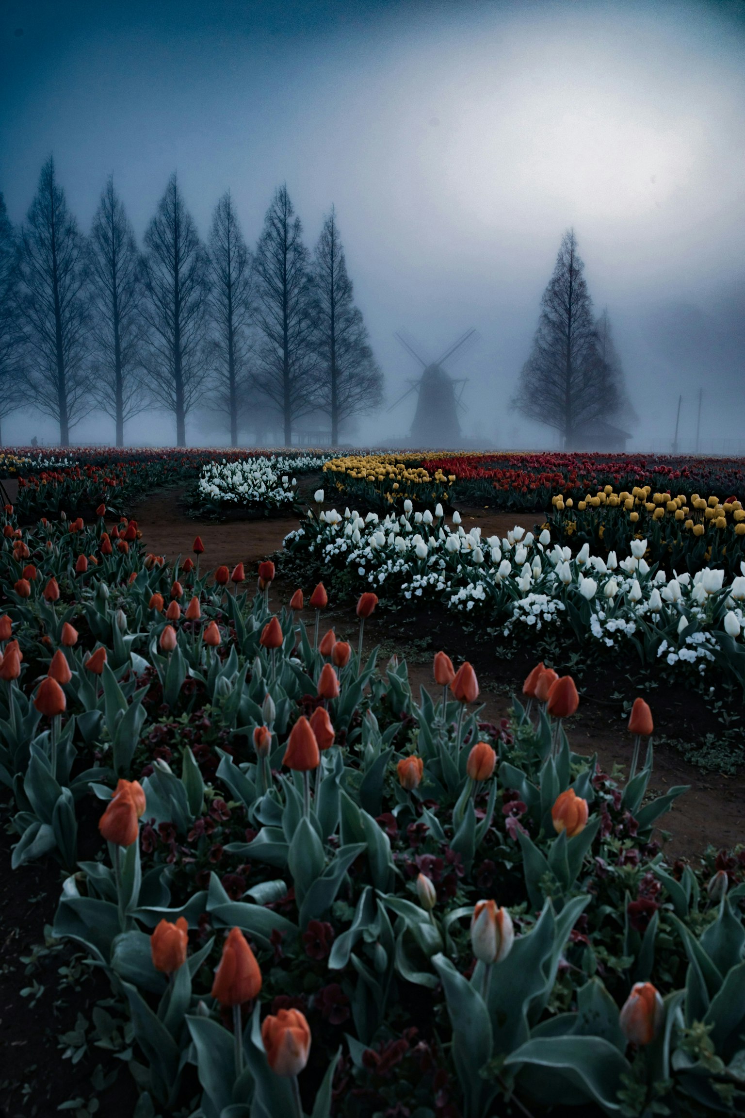 2025-07-ppp-review-by-tomoyuki-image-13