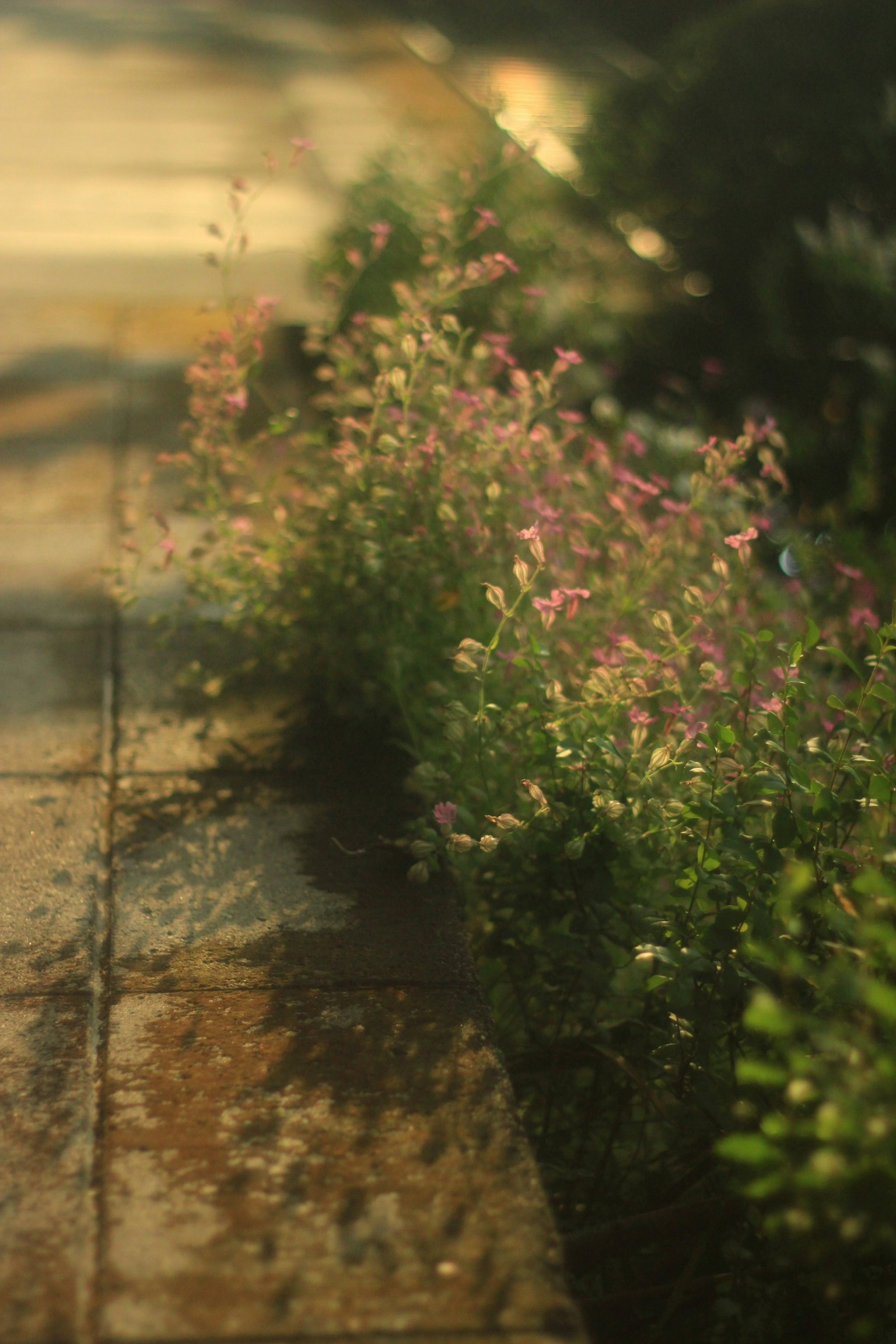 2023-10-osyampo-image-4