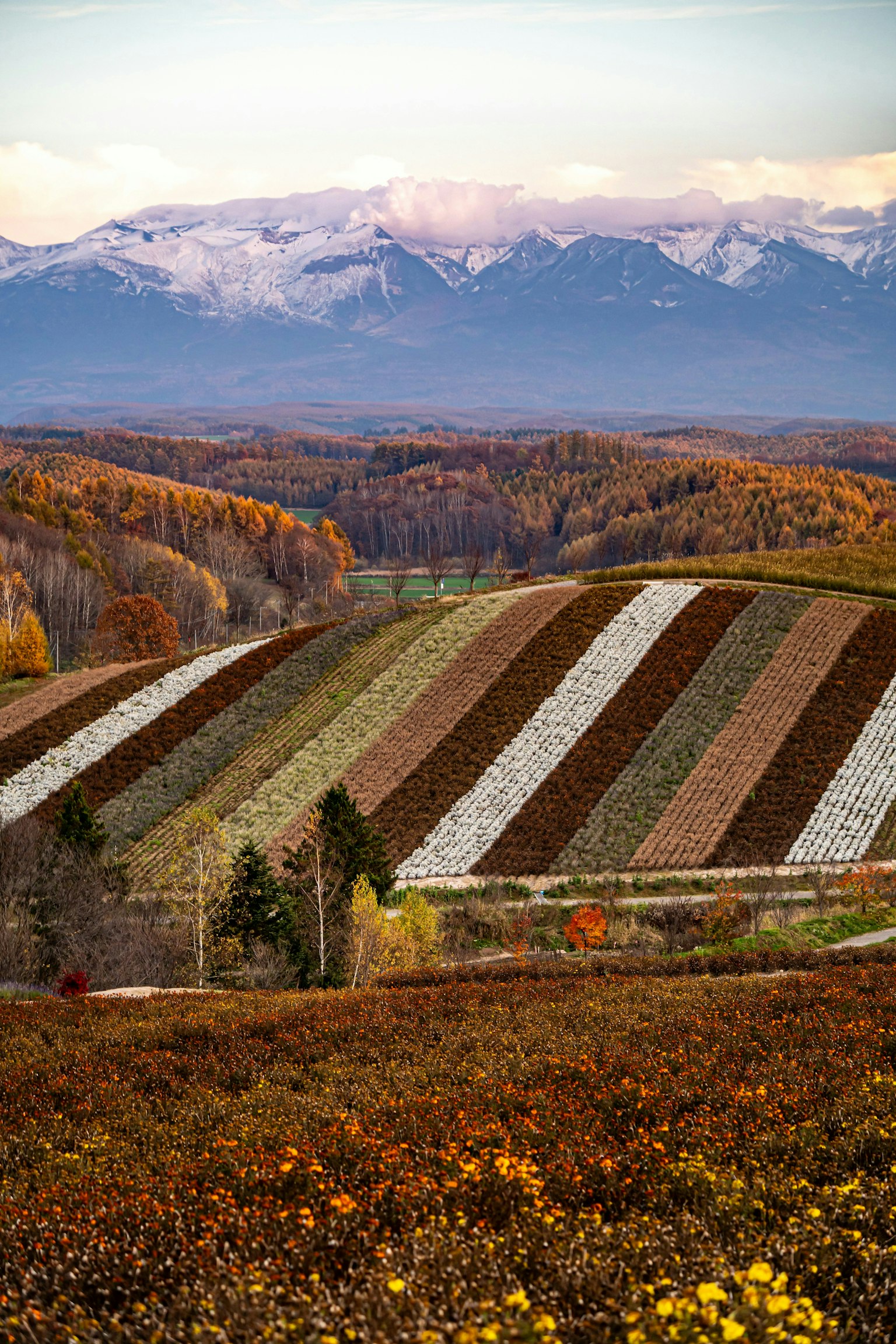 2025-09-seasonal-nature-award-image-10