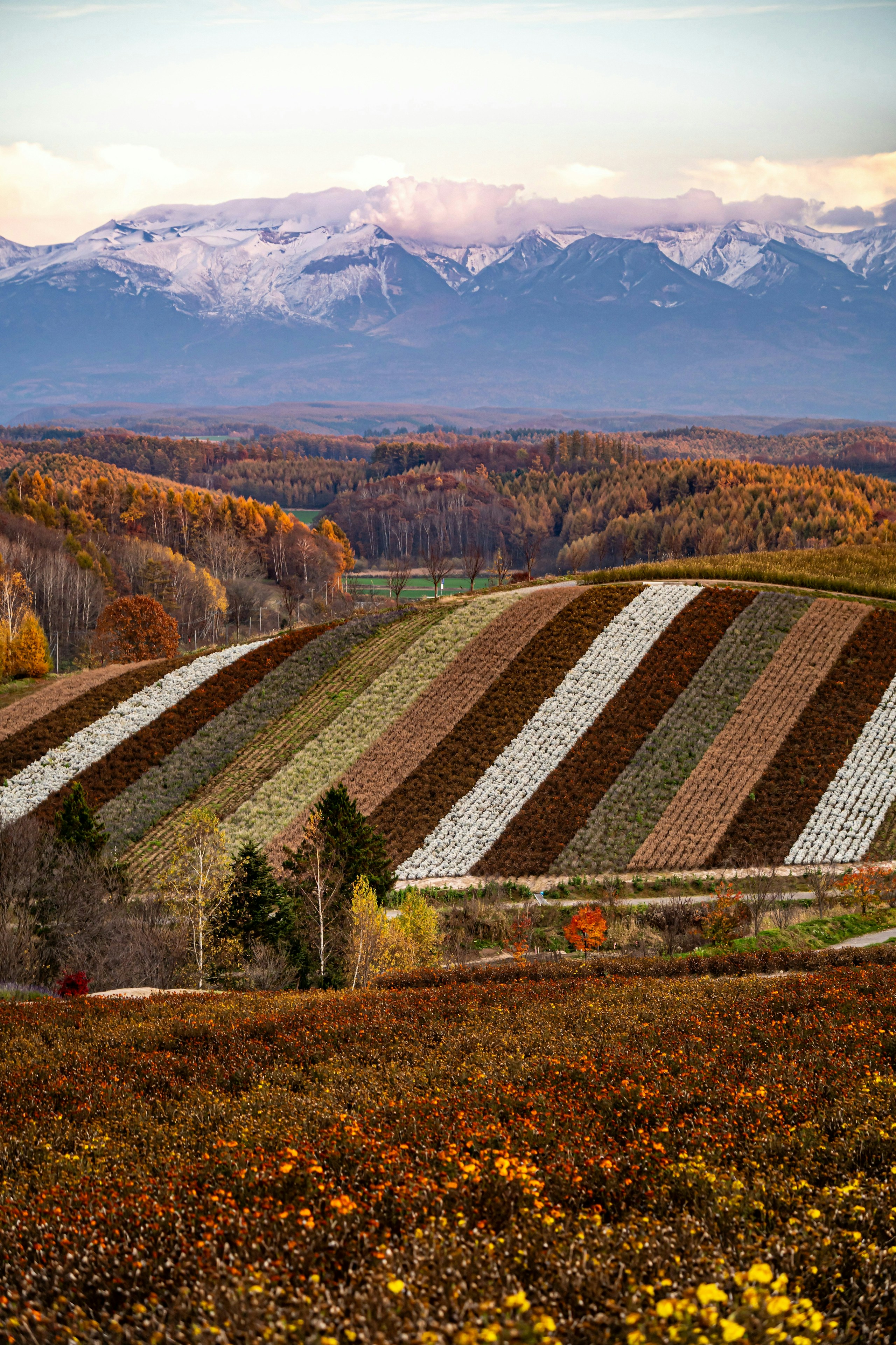 2025-07-seasonal-nature-image-8