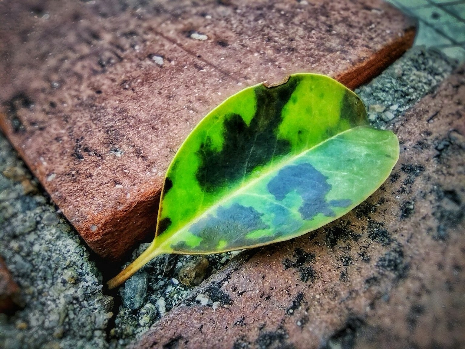 2025-11-discovery-report-image-5