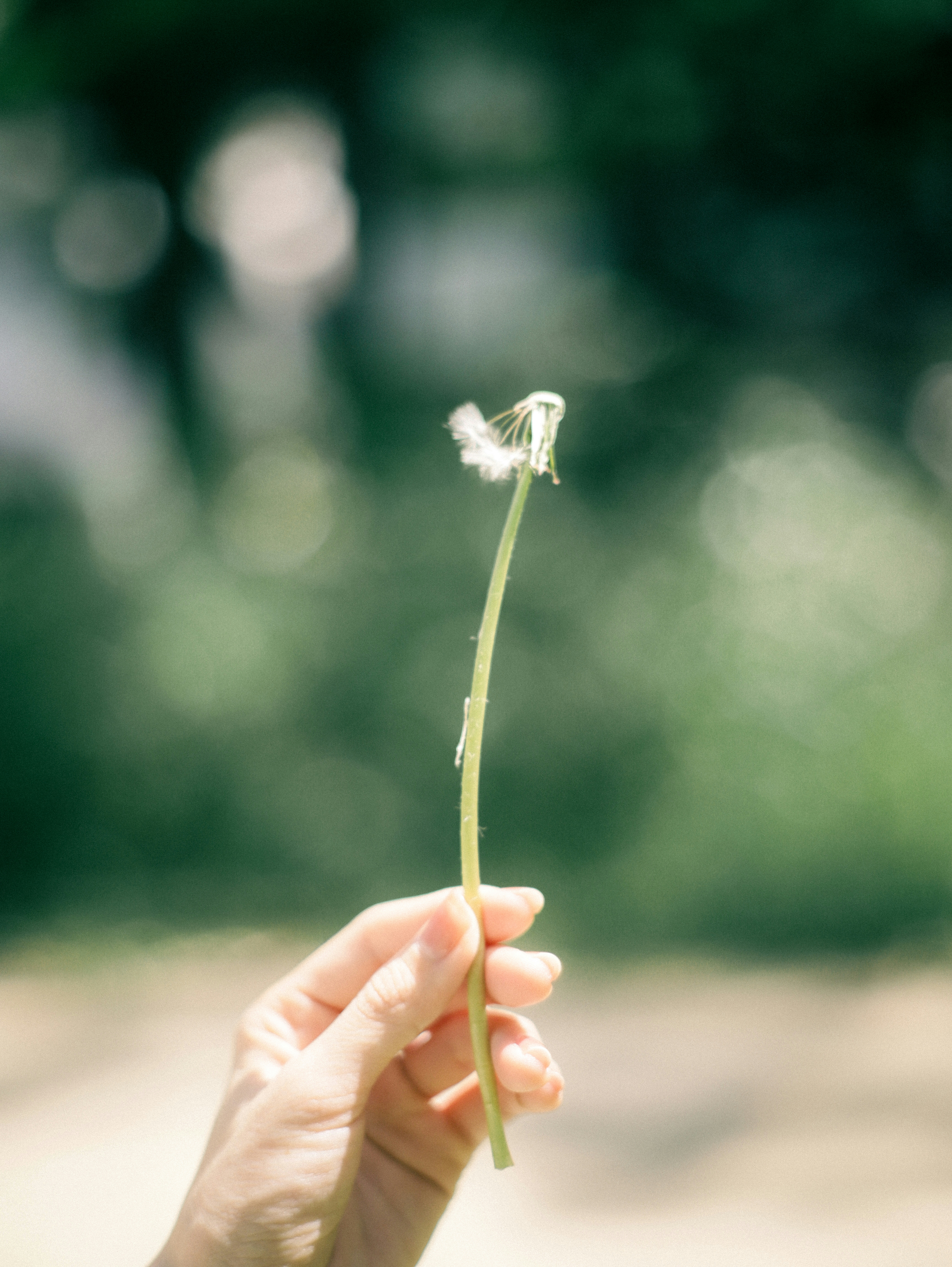 2026-04-photo-contest-pr-2-image-19