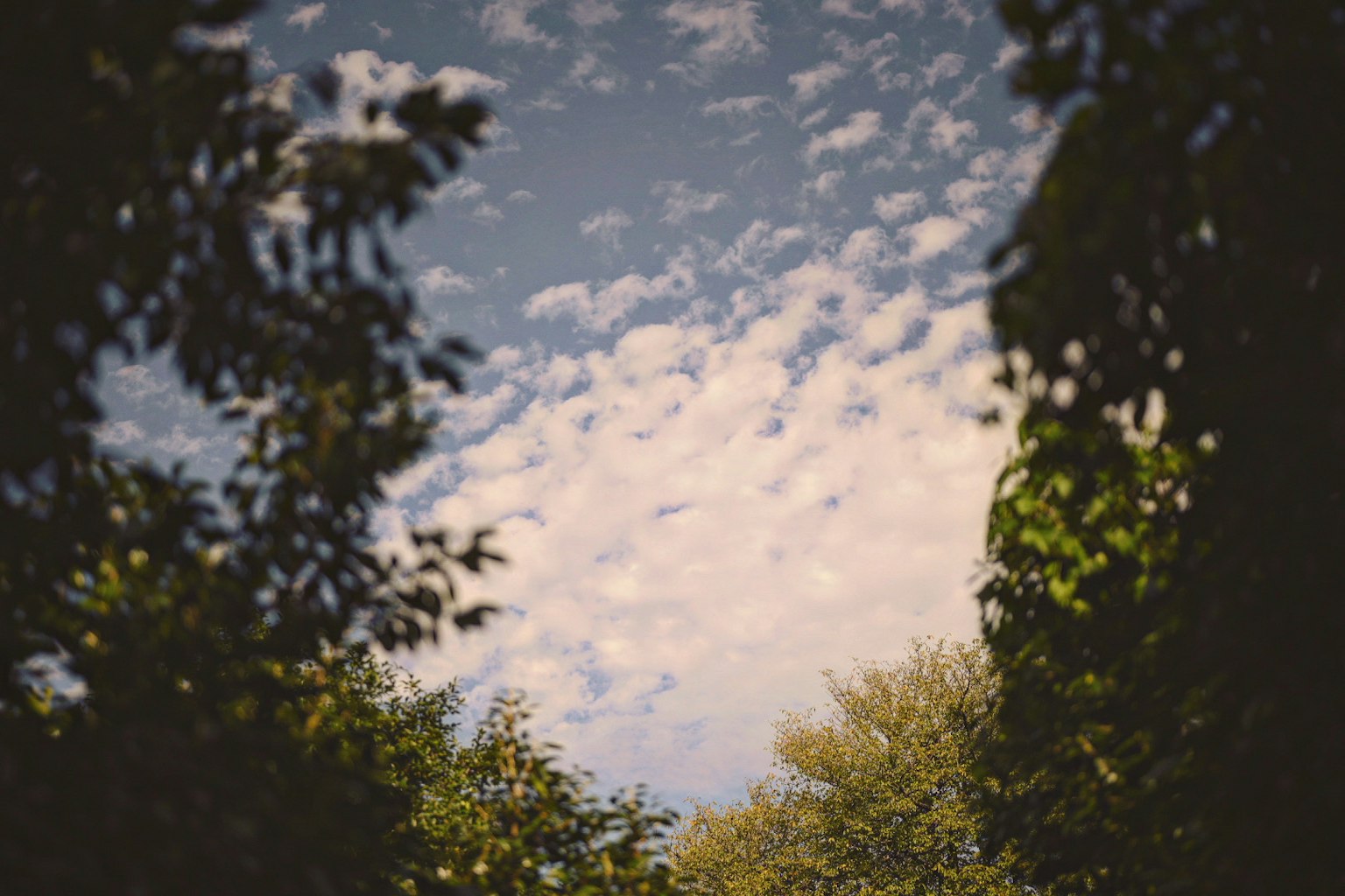 2024-04-old-lens-image-7