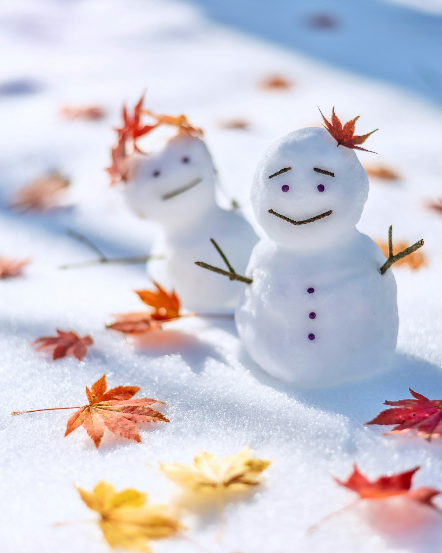 2023-12-winter-magic-image-6