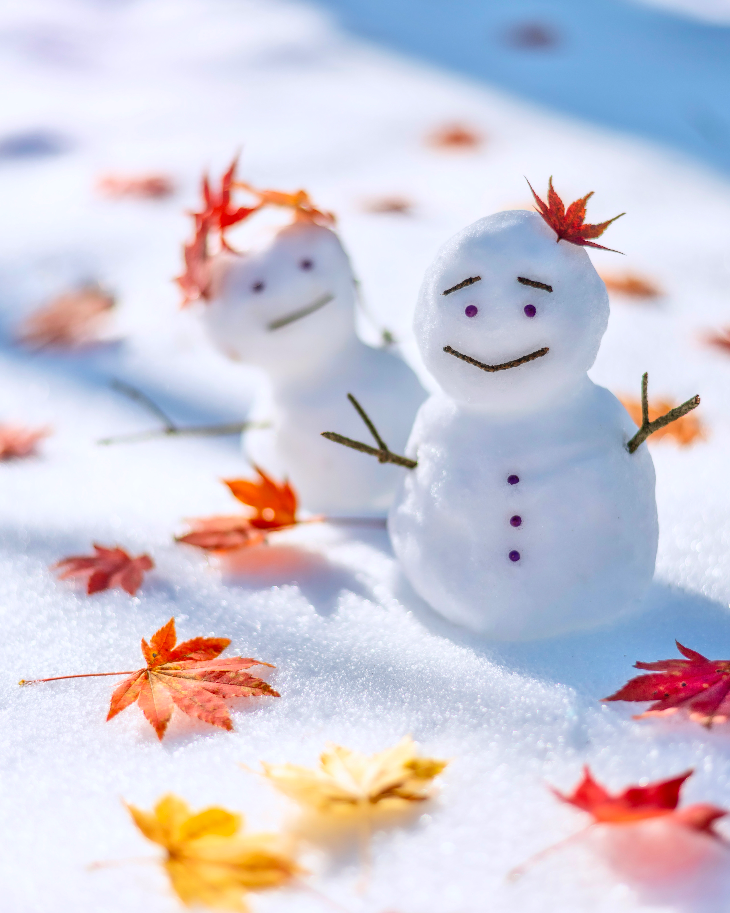 2023-12-winter-magic-image-6