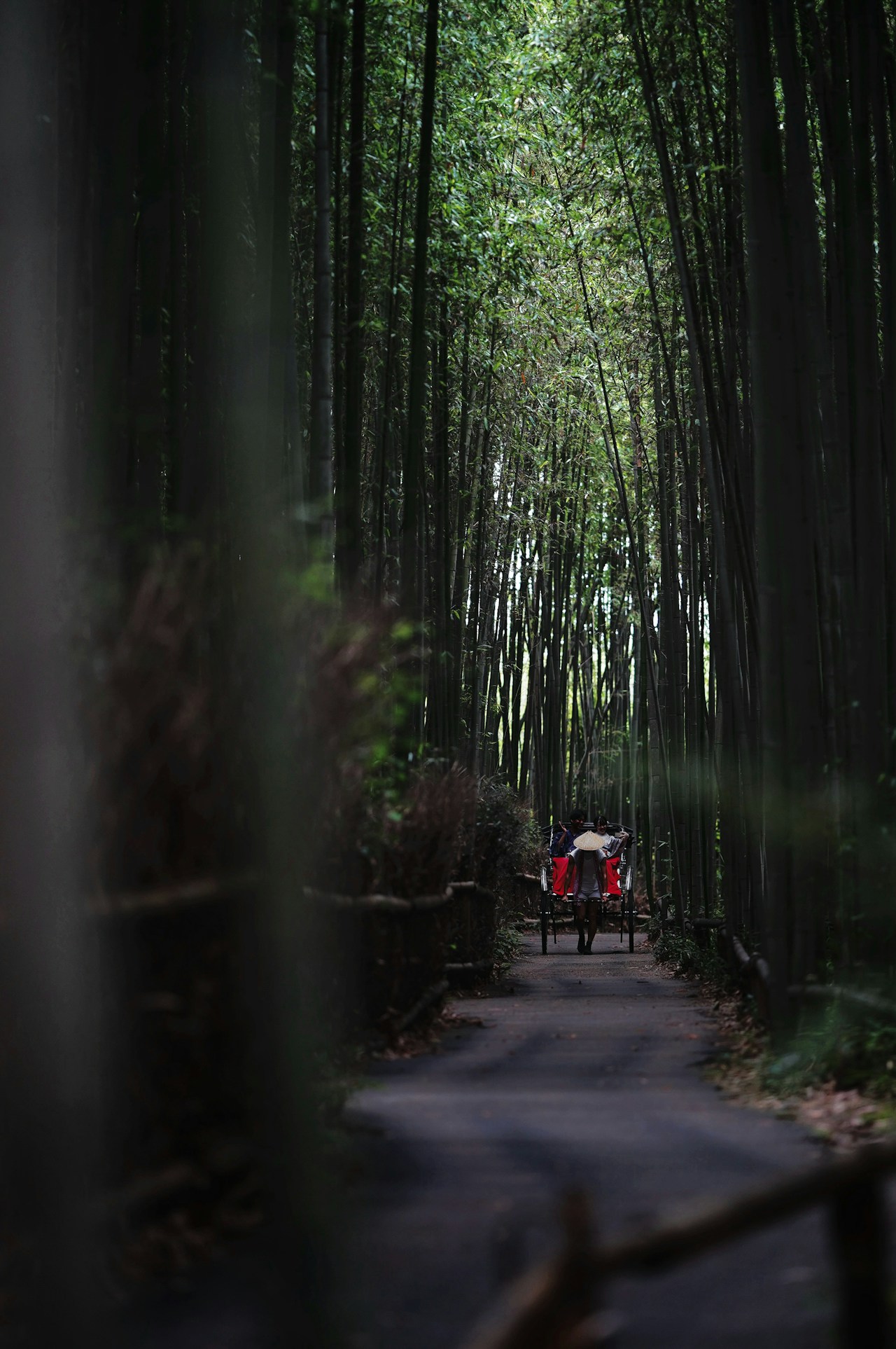 Photo by Yukihiro