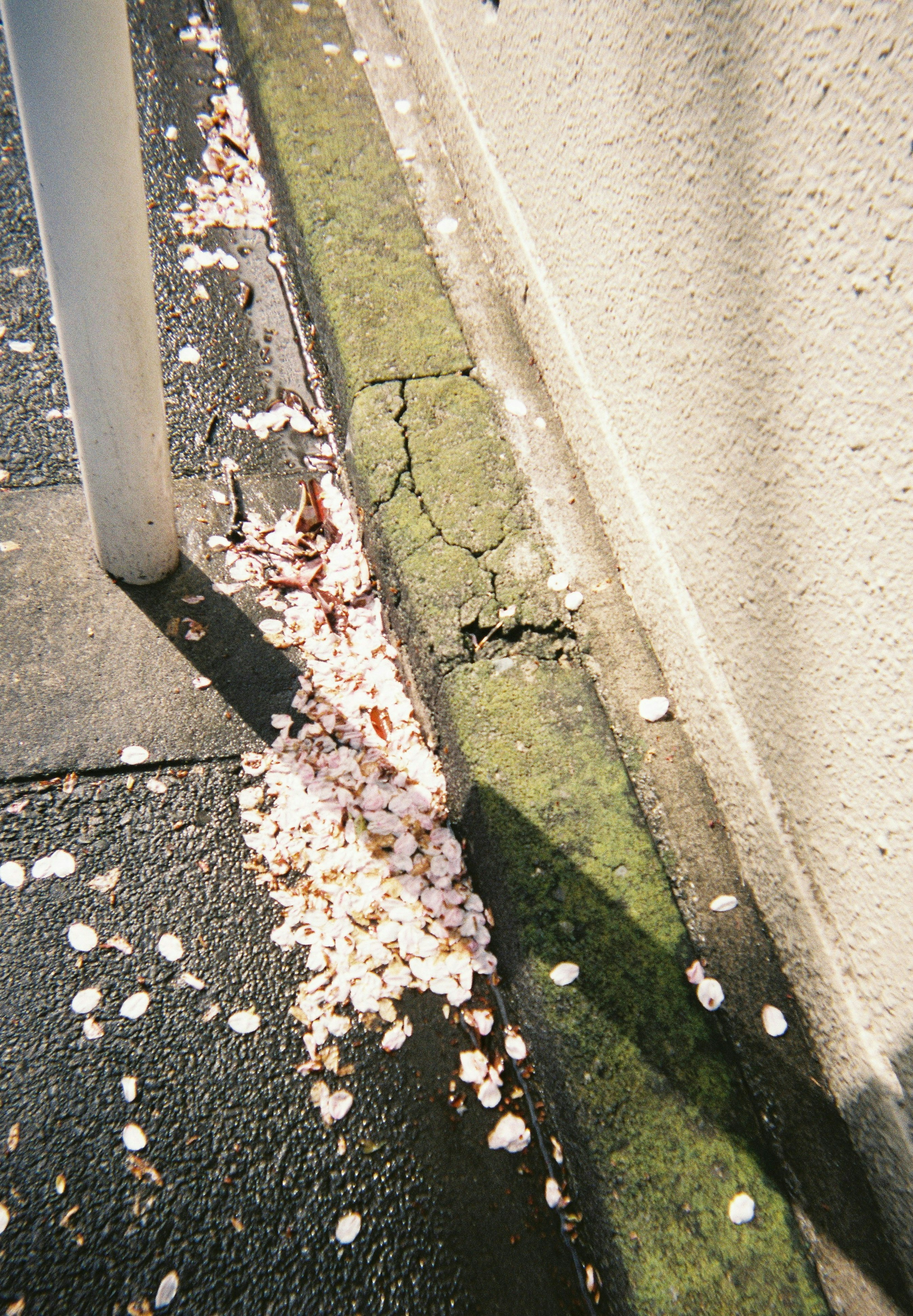 2025-05-utsurundesu-style-image-4