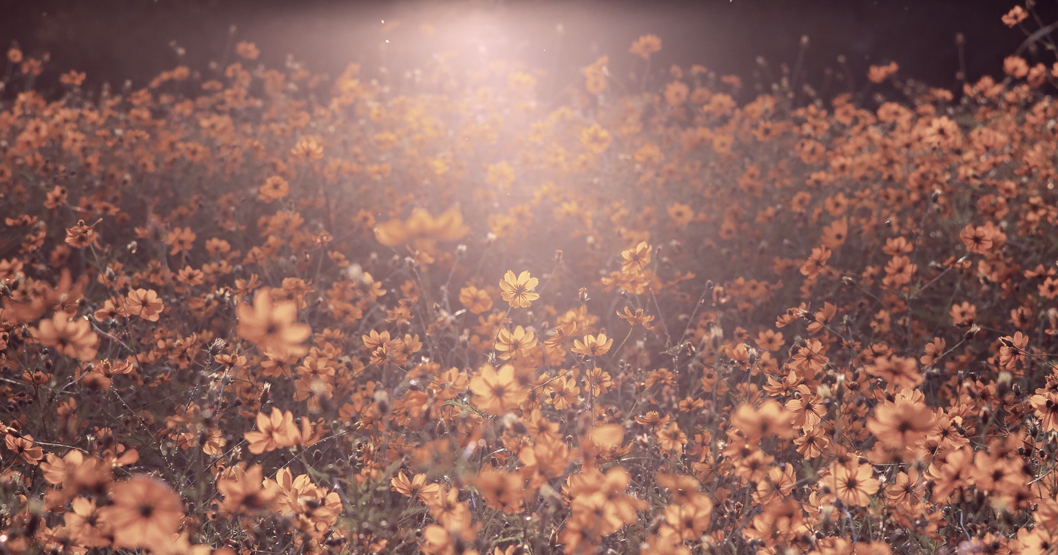 2024-04-old-lens-cover-image