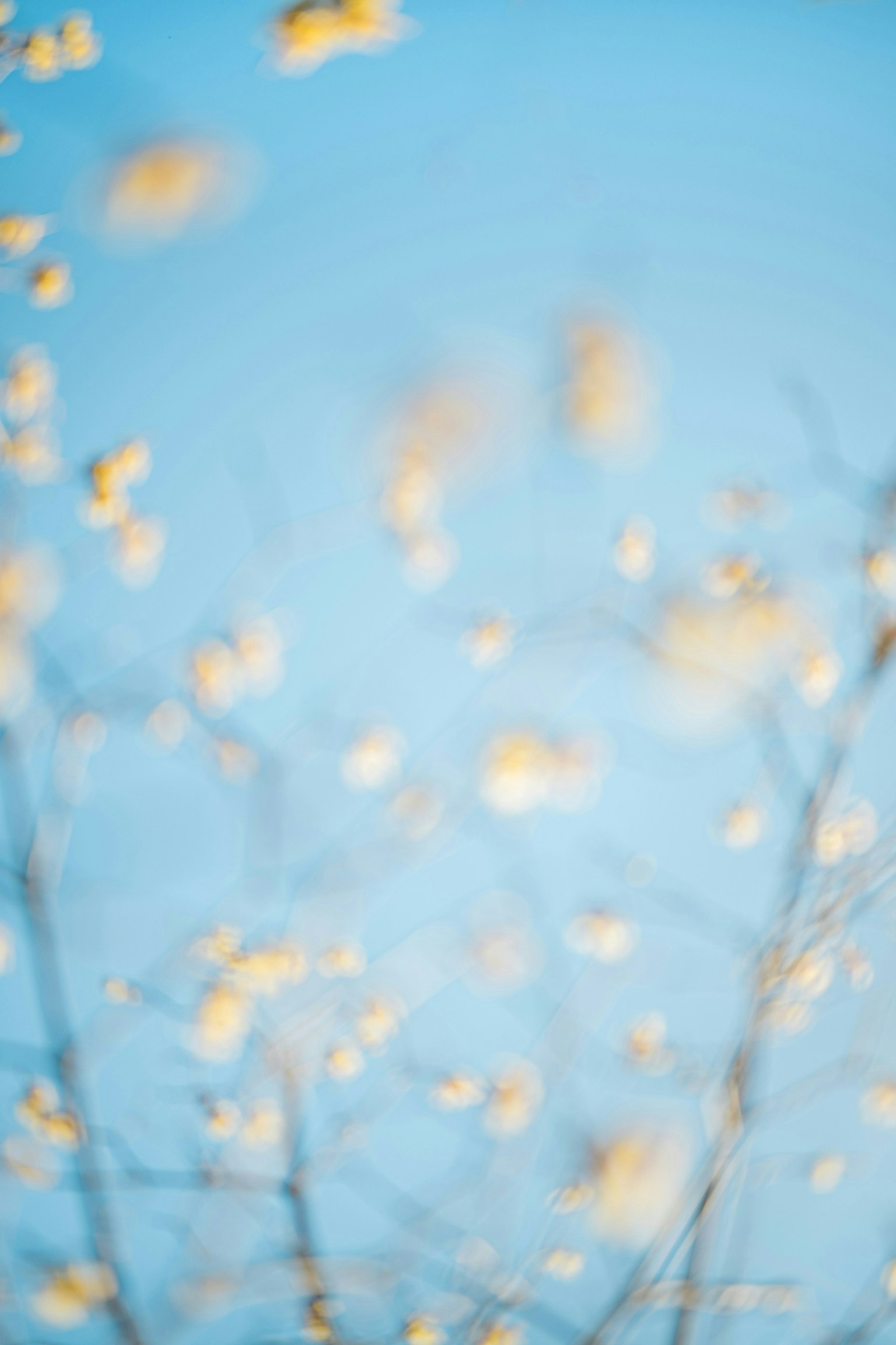 2025-11-getty-perplexity-deal-image-7