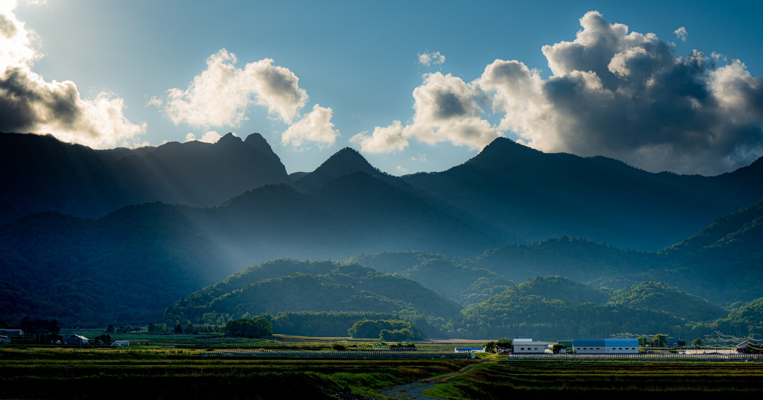 2024-05-sunlight-stories-award-cover-image