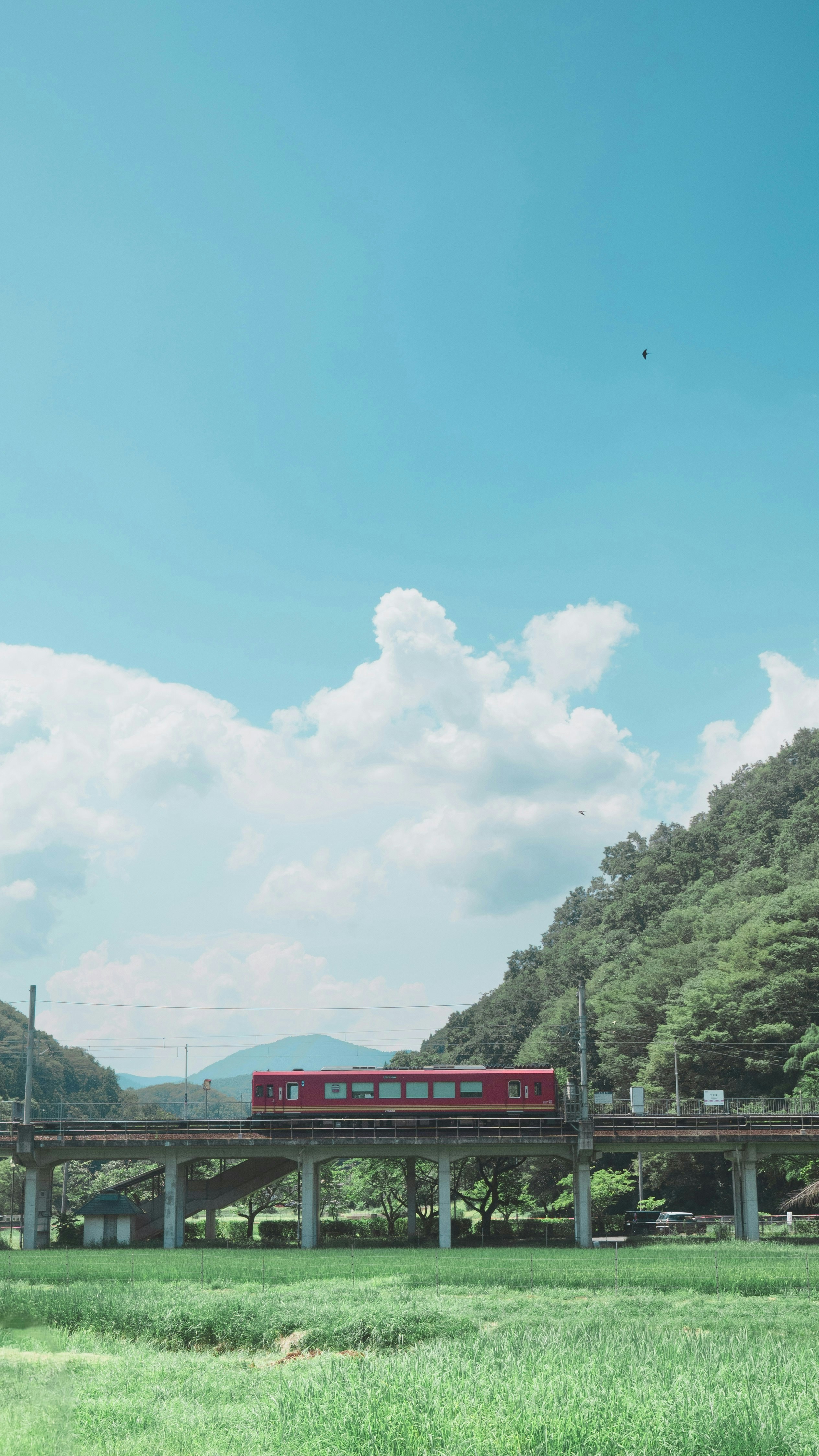 Photo by はくらく