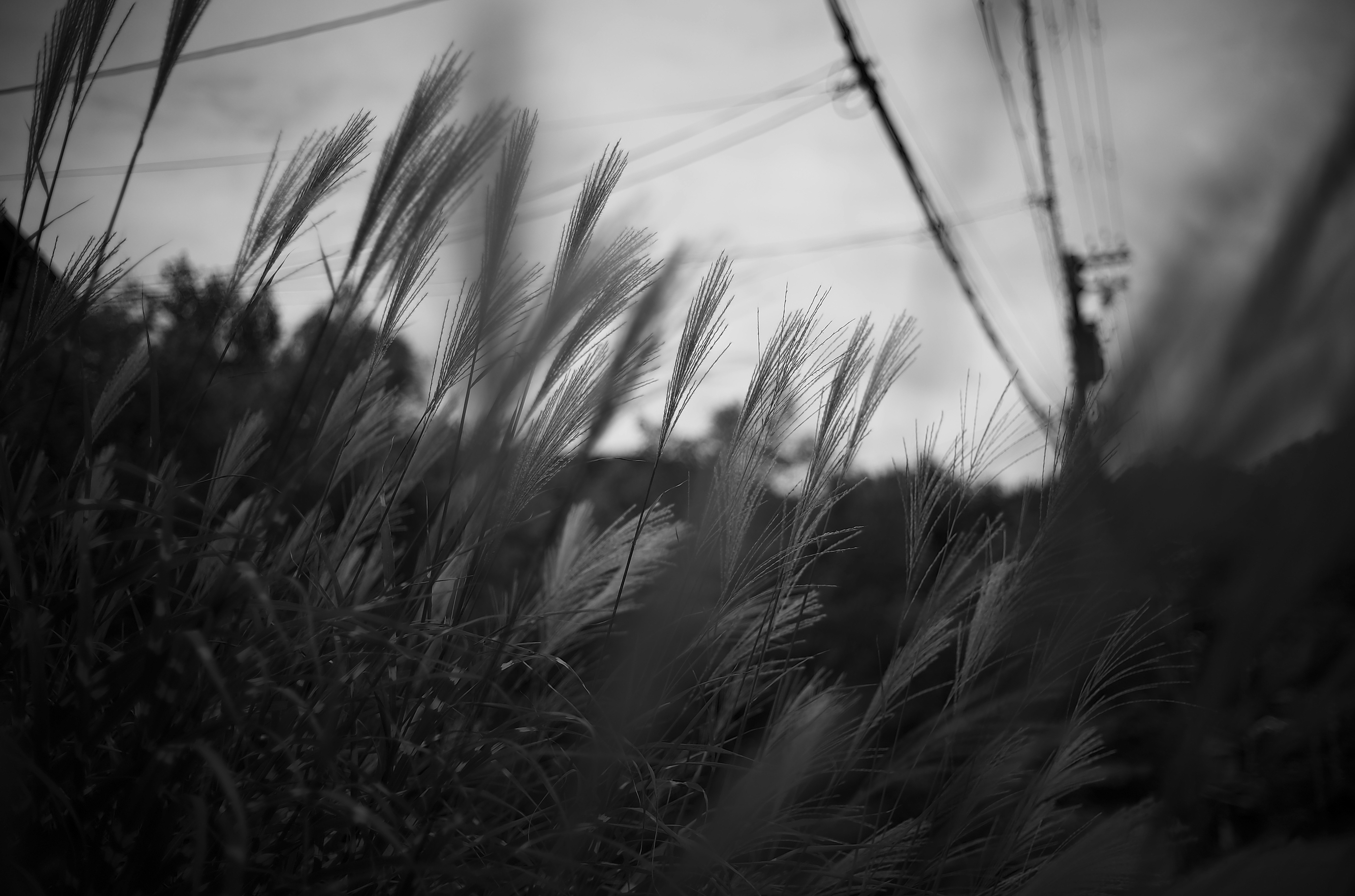 2025-10-what-is-autumn-like-image-2