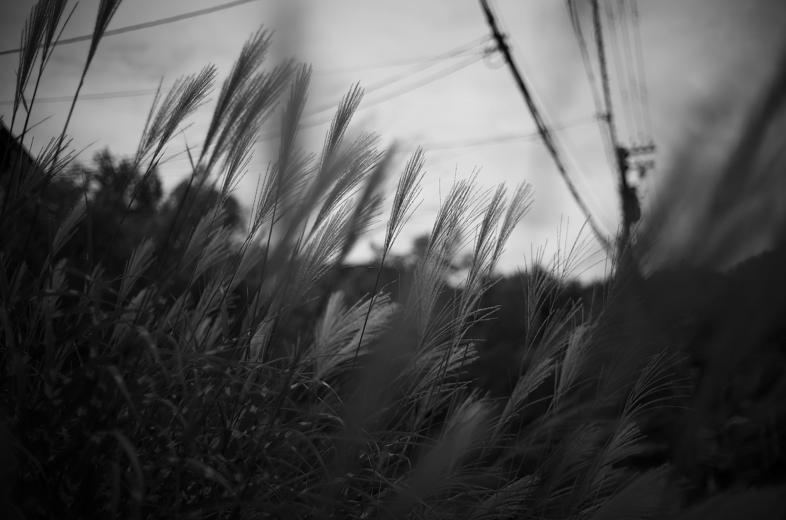 2025-10-what-is-autumn-like-image-2