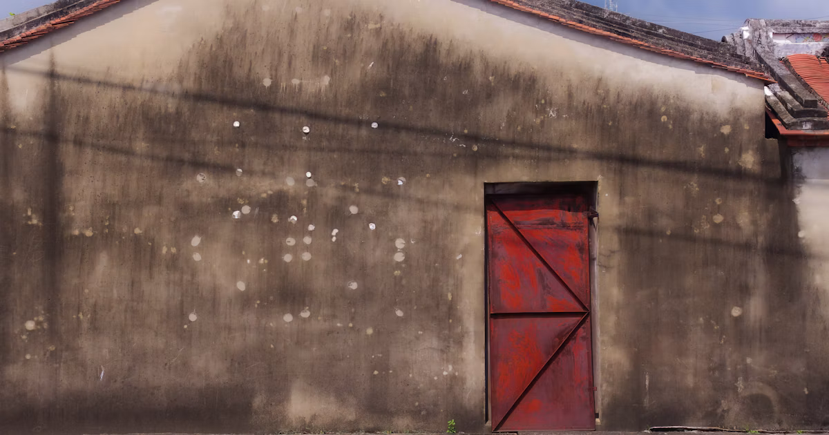 Threads Entdeckungsprojekt | find new pieces『door』| Begegnung mit unentdeckten Talenten | Focus #661