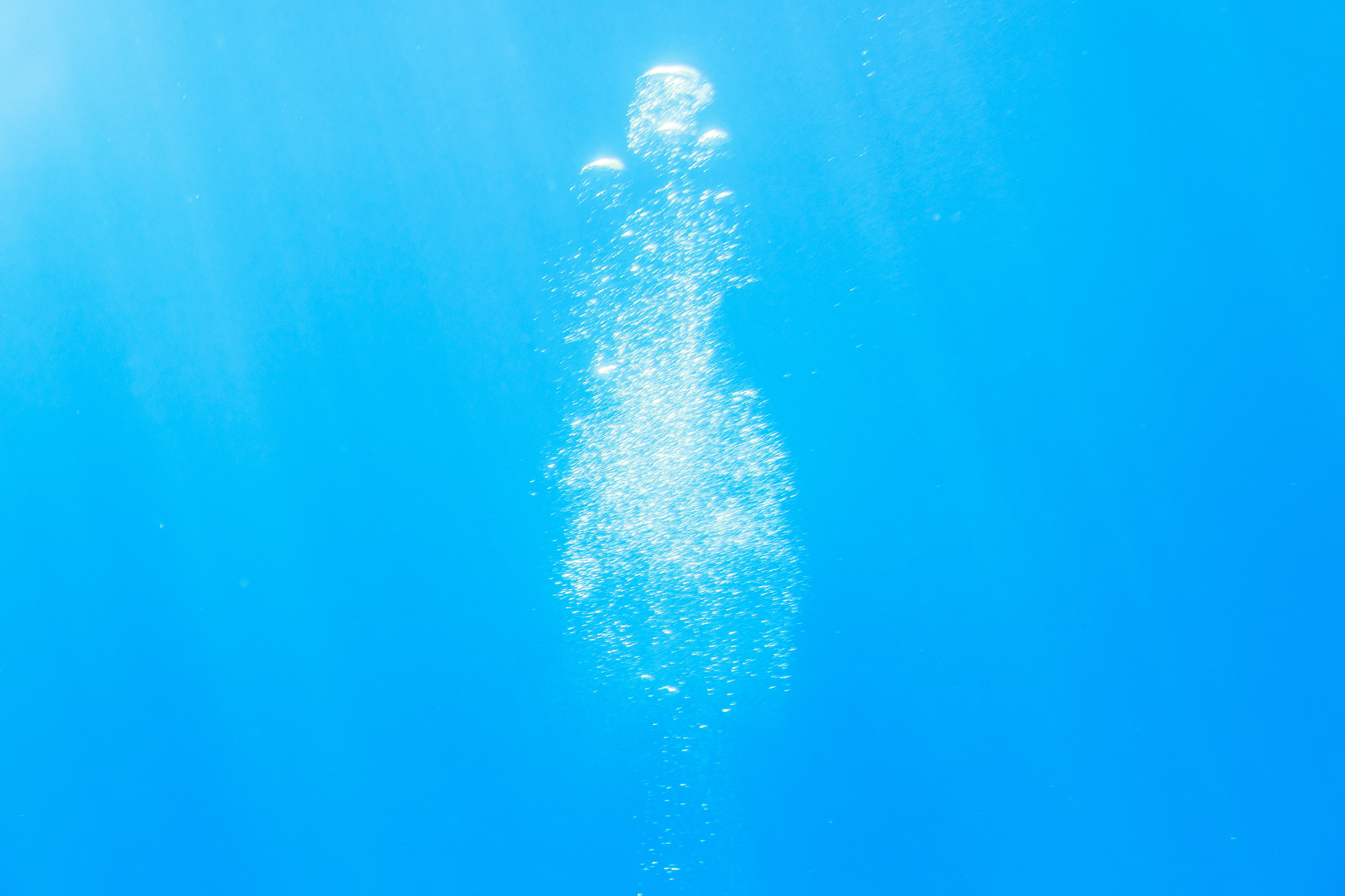 2026-02-another-world-under-the-water-cover-image