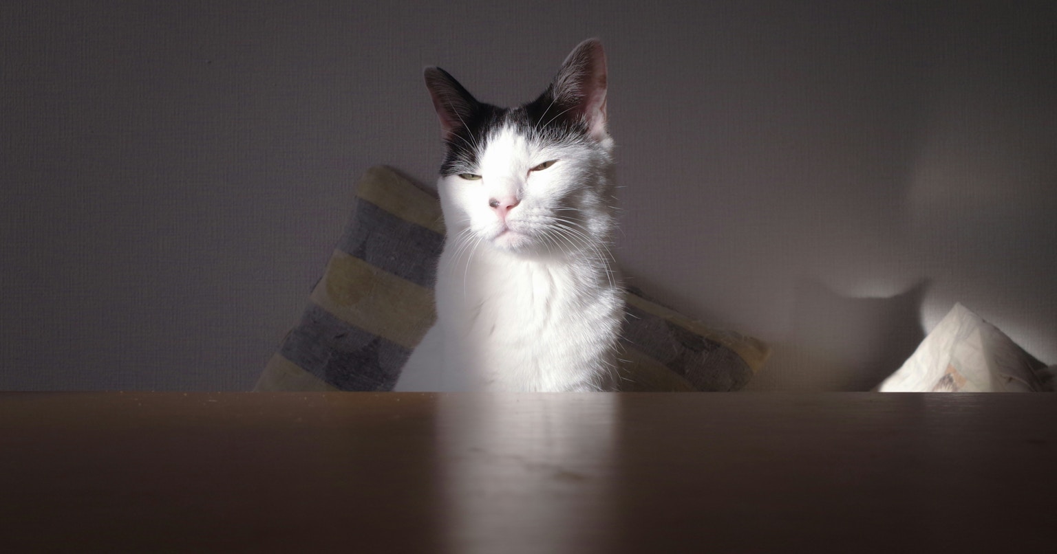 2026-01-january-diary-cover-image