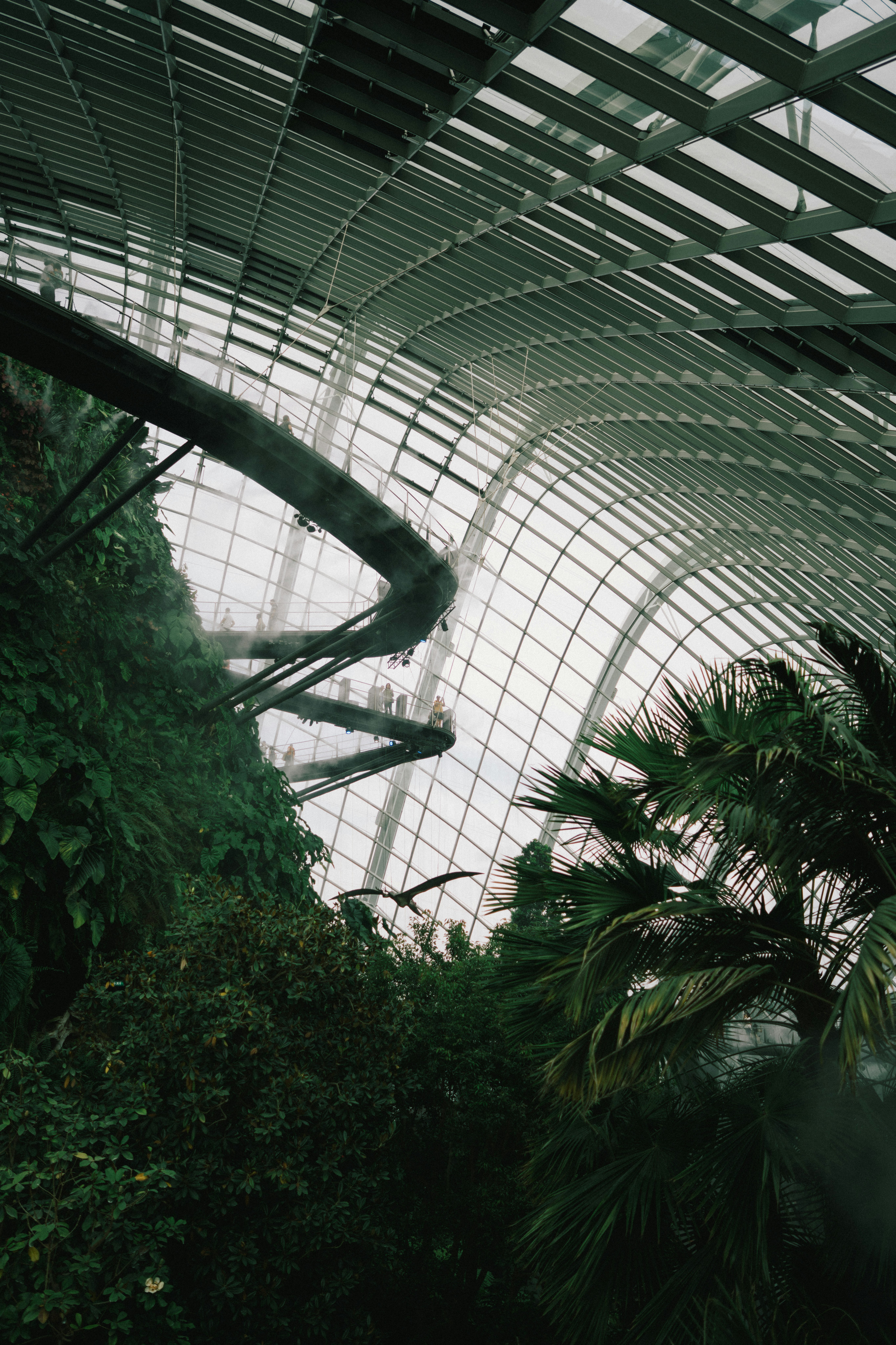 2026-04-ppp-in-singapore-cover-image