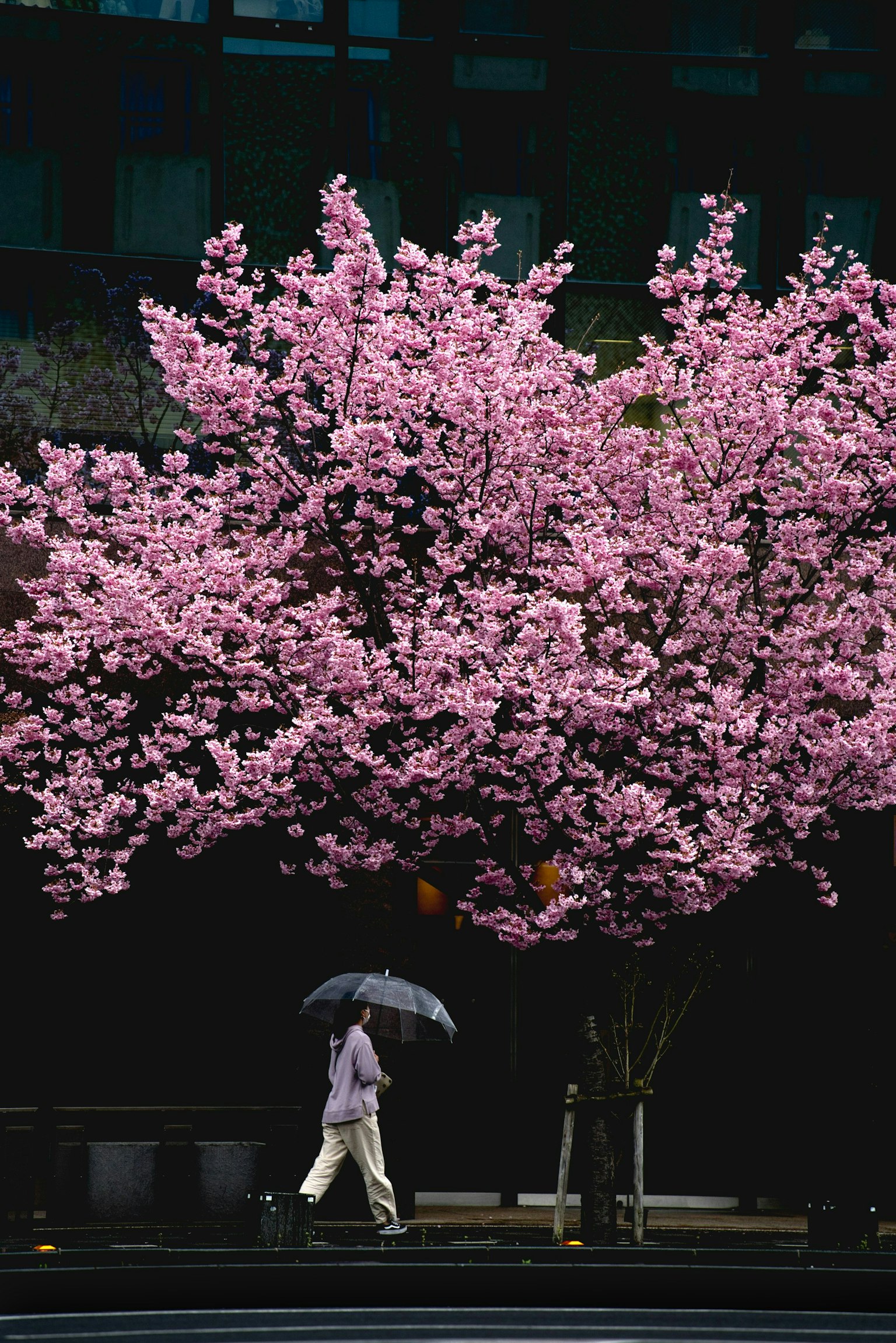 2025-03-yukihiro-10-questions-image-25